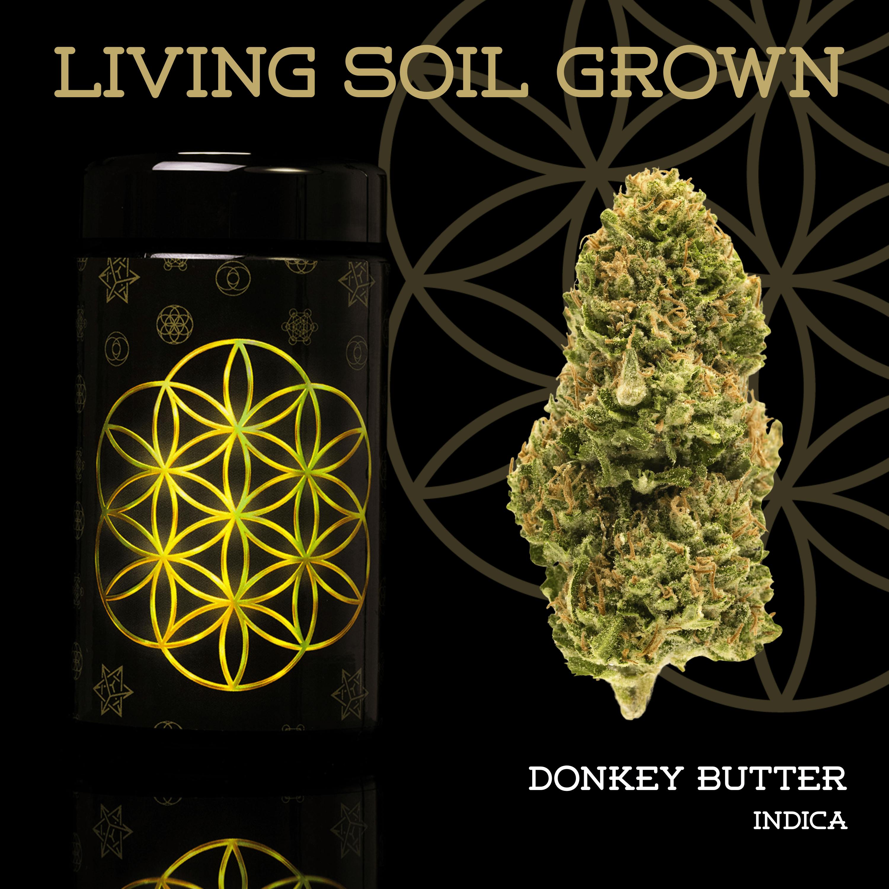 Donkey Butter | Prepack | Miron Jar | Living Soil by Flower of Life
