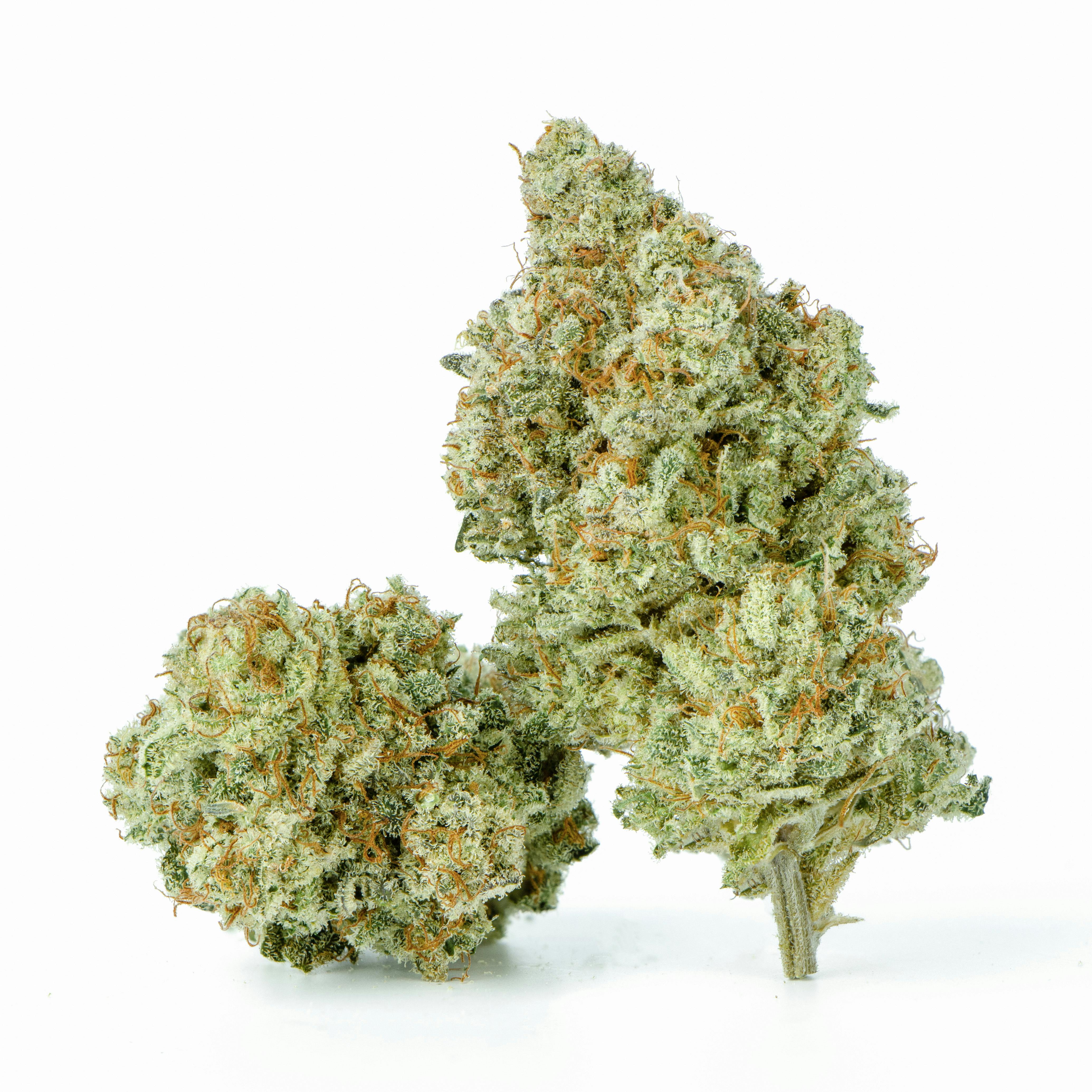 Cherry Slump Premium Flower