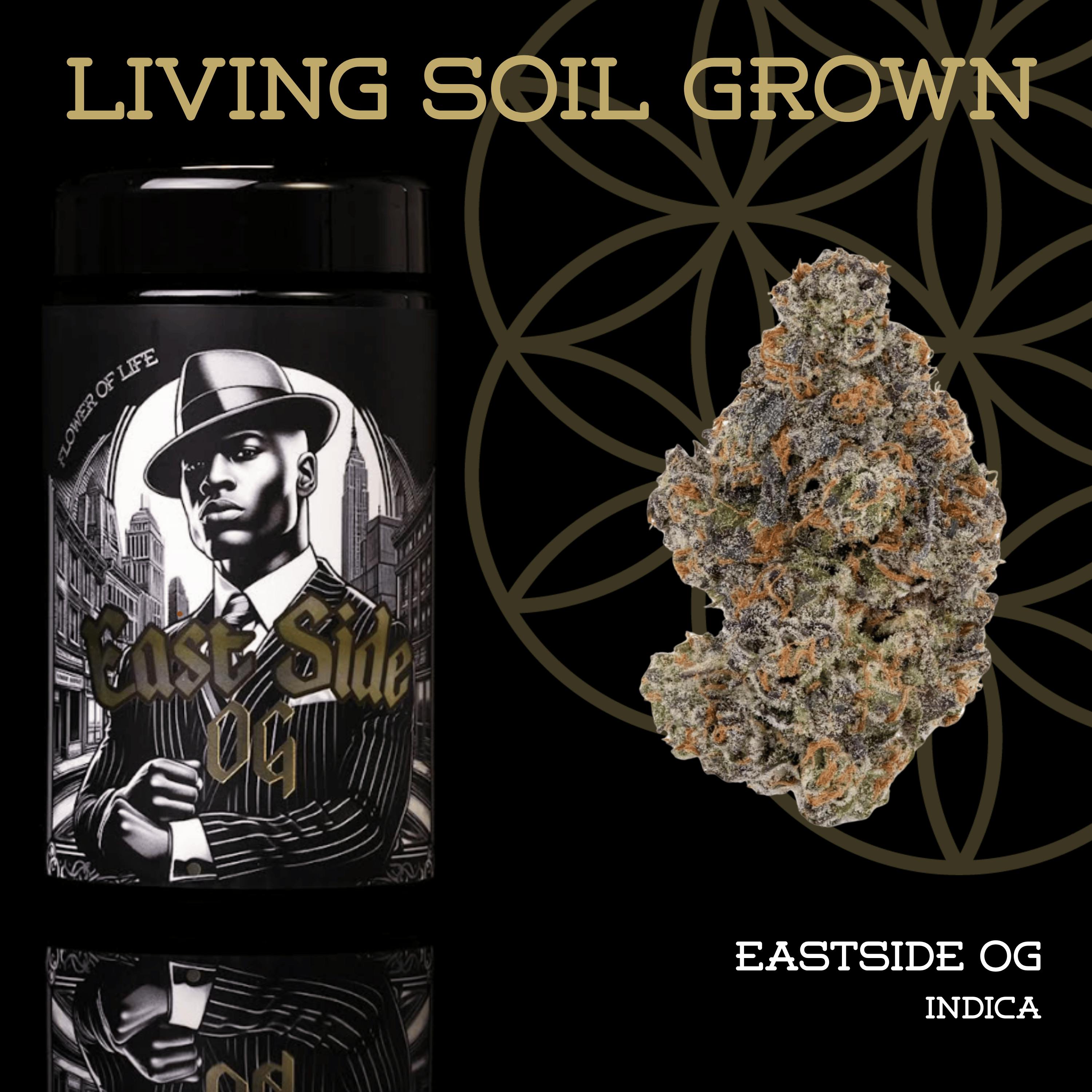 Eastside OG | Prepack | Miron Jar | Living Soil by Flower of Life