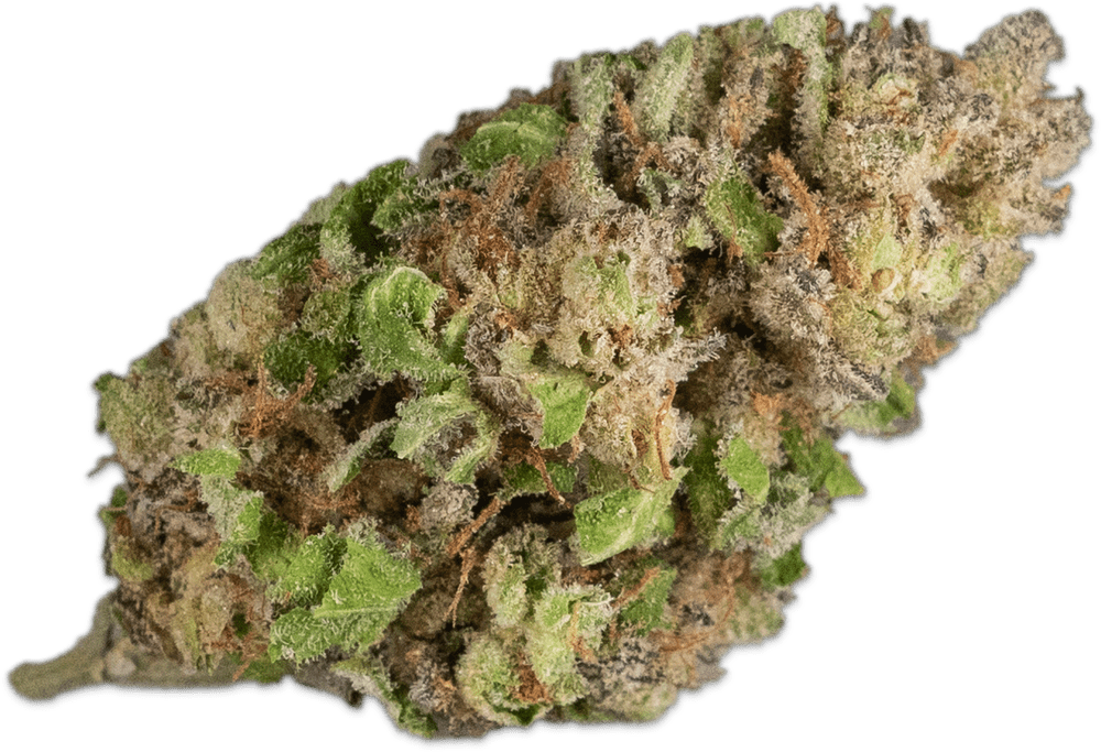 Kush Cream Cake at Sumpter Nugget Dispensary