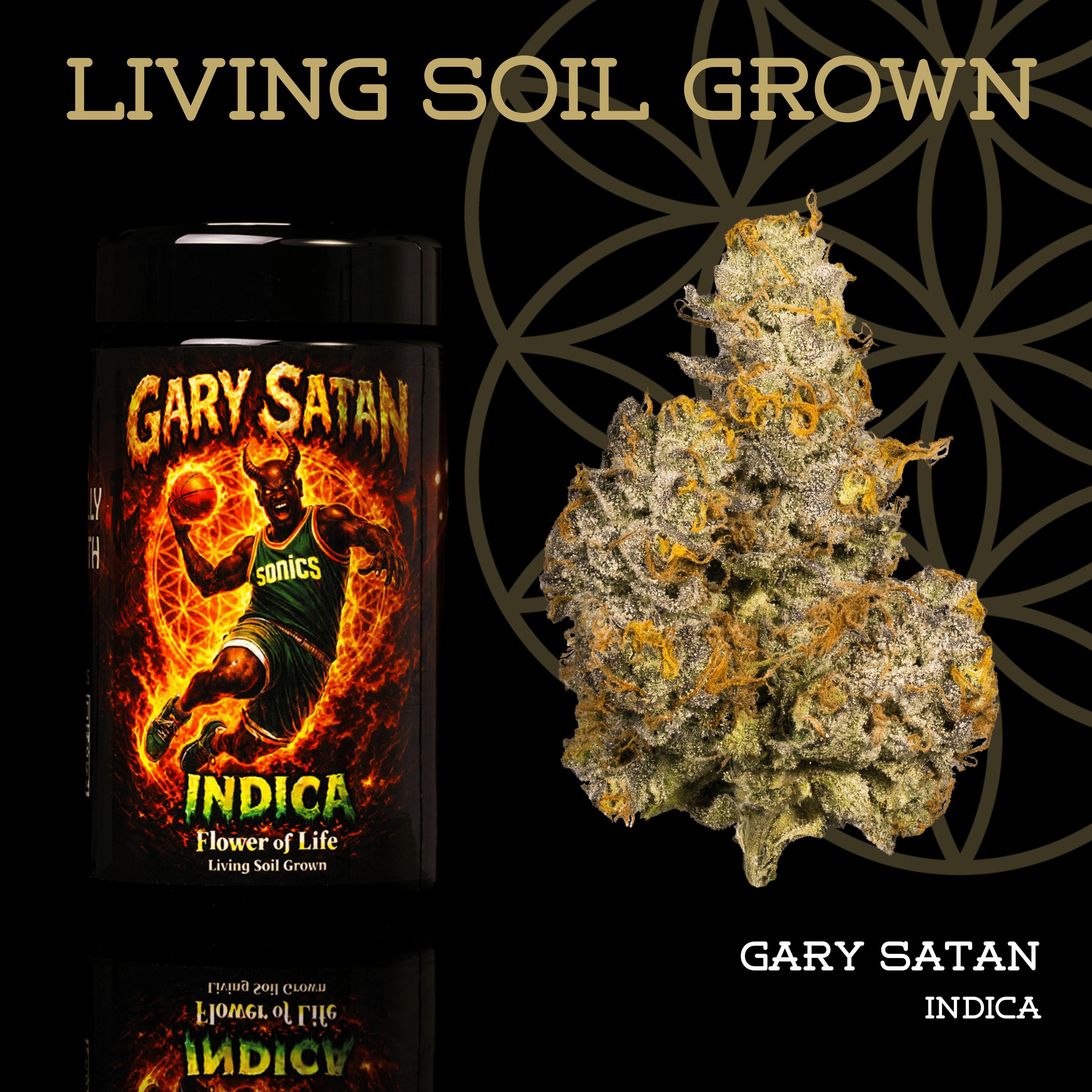 Gary Satan | Buds | 3.5g