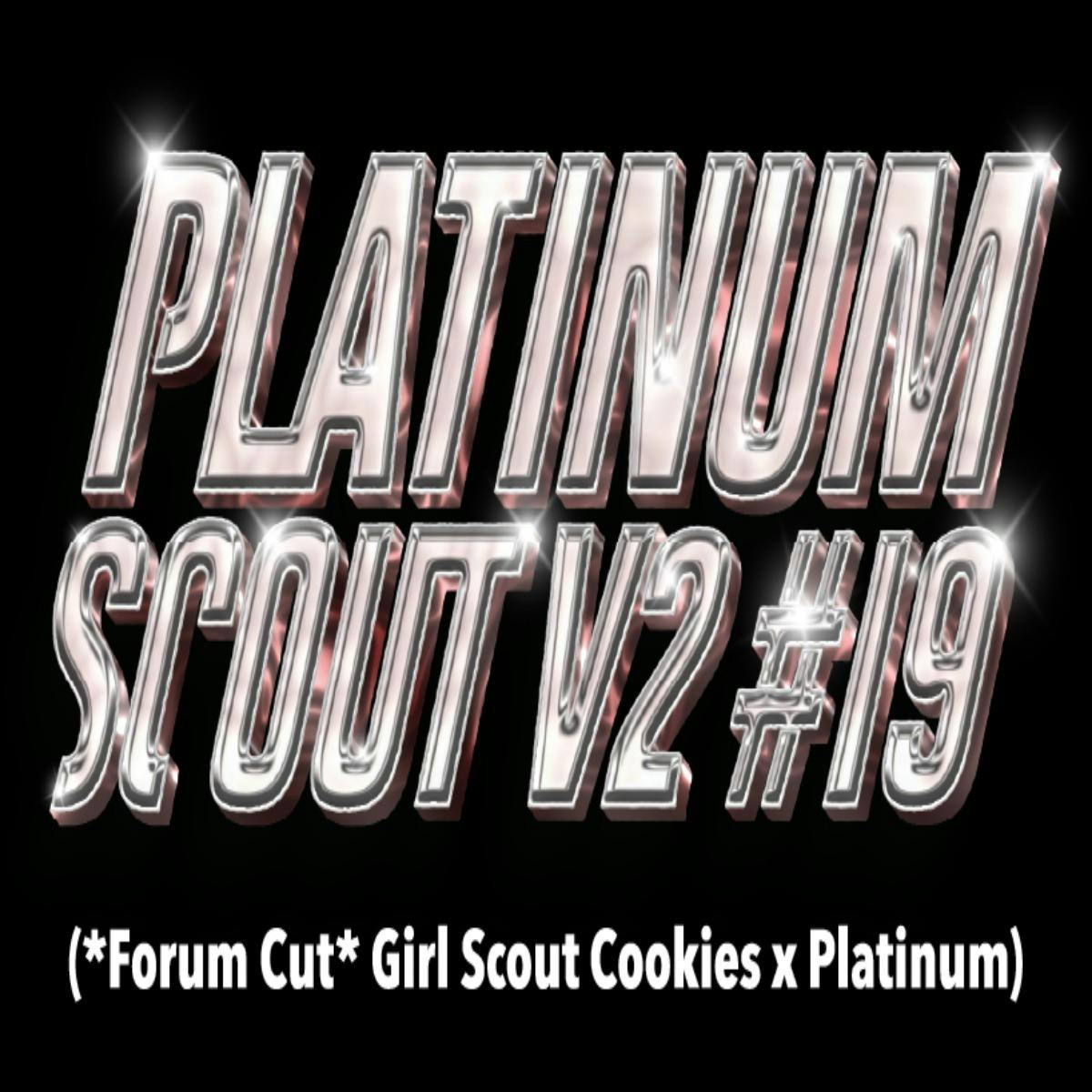 Burly Botanicals | Platinum Scout V2 #19 | 2G | Live Resin Disposable