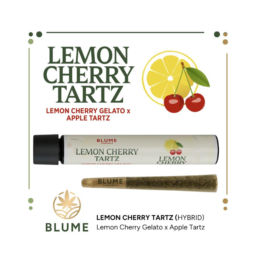 BLUME | Lemon Cherry Tartz | Joint | 1g