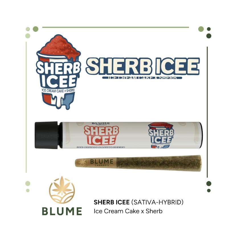 BLUME | Sherb Icee | Joint | 1g