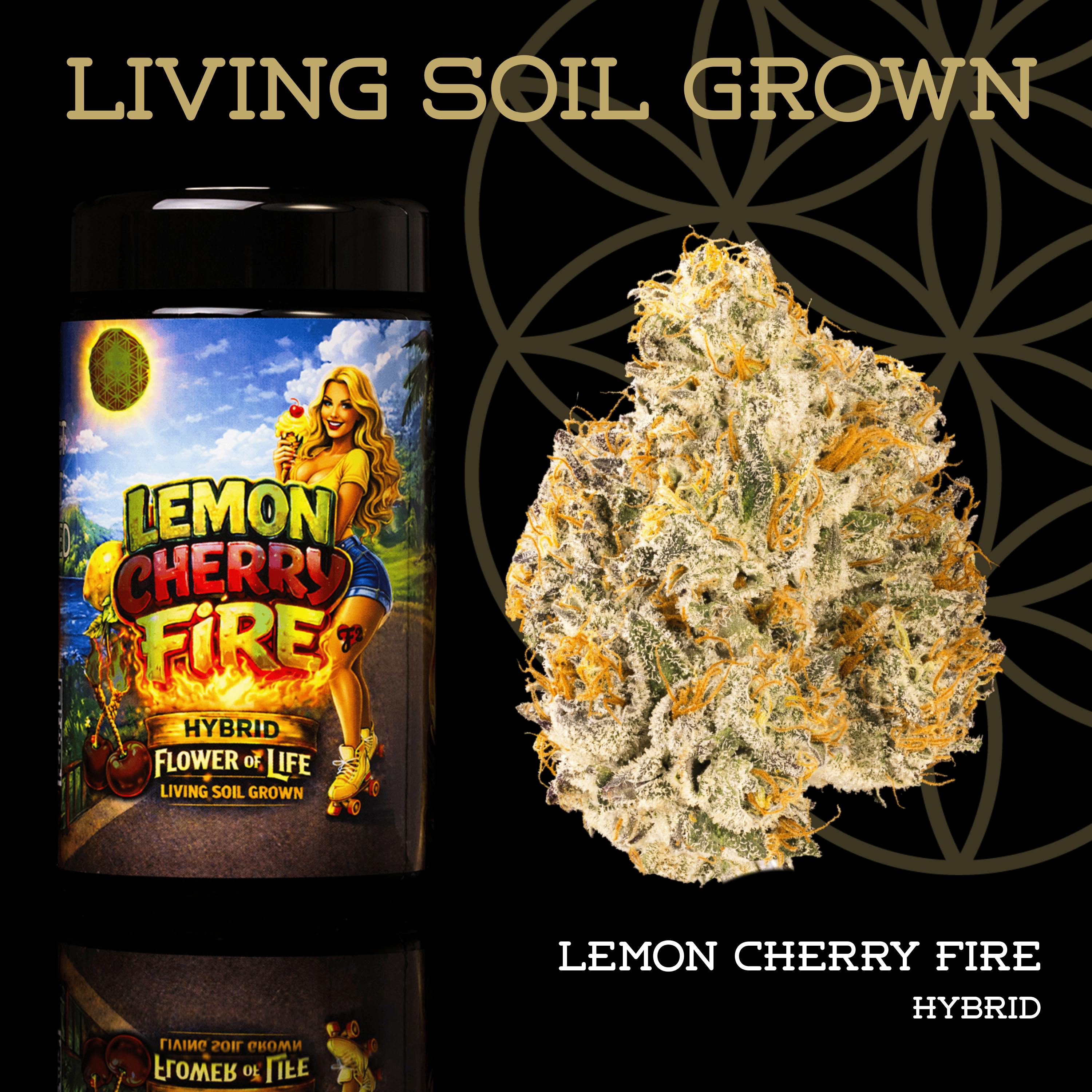 Lemon Cherry Fire | Prepack | Miron Jar | Living Soil - Flower of Life