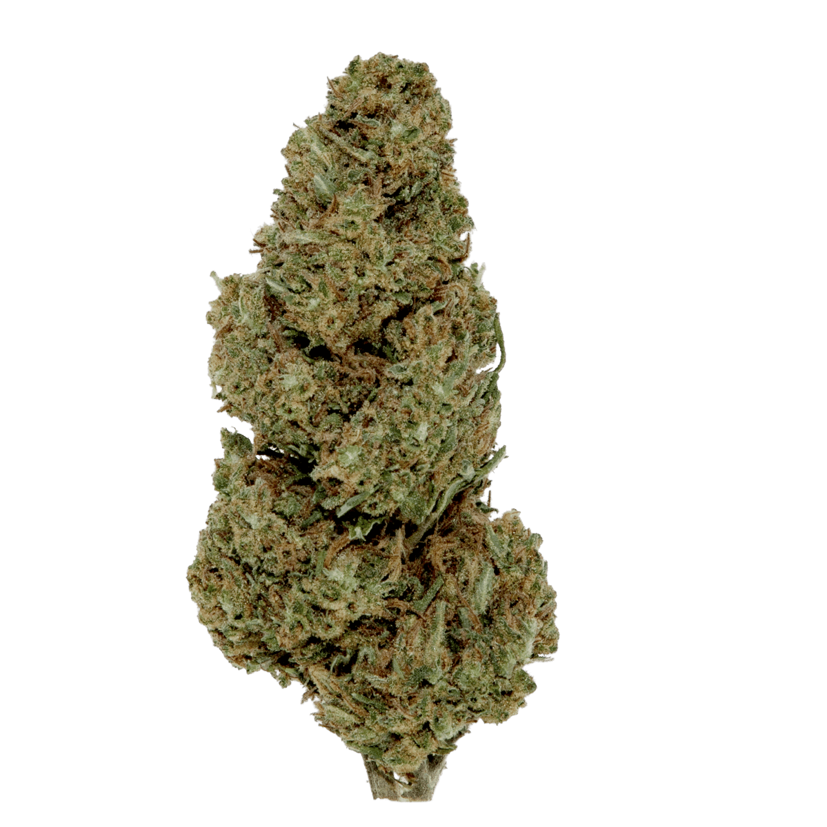 Black | Super Lemon Haze | Buds | 3.5g