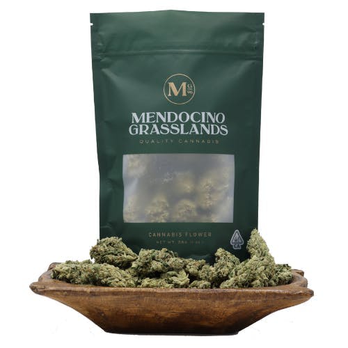 Mendocino Grasslands — Motorbreath