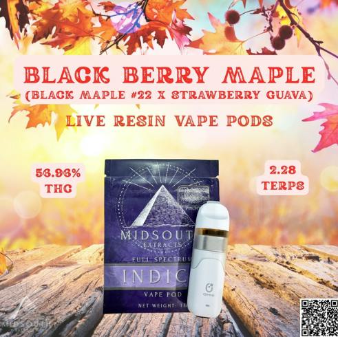 Blackberry Maple | Live Resin Pod | 1g