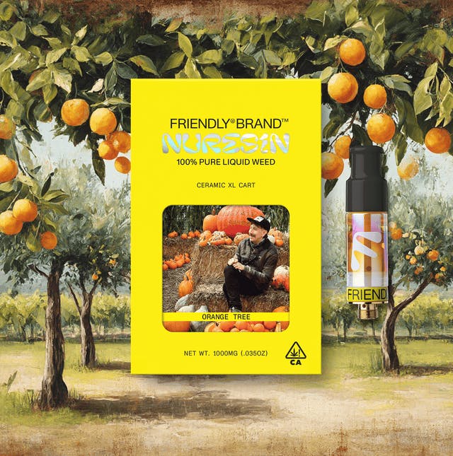 Friendly Brand — Orange