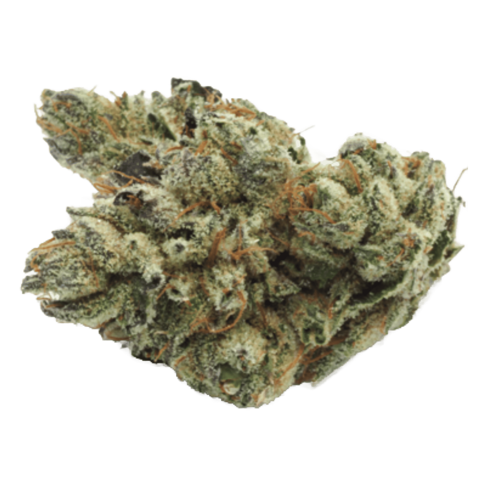 CBX: Cannabiotix — 98 Octane
