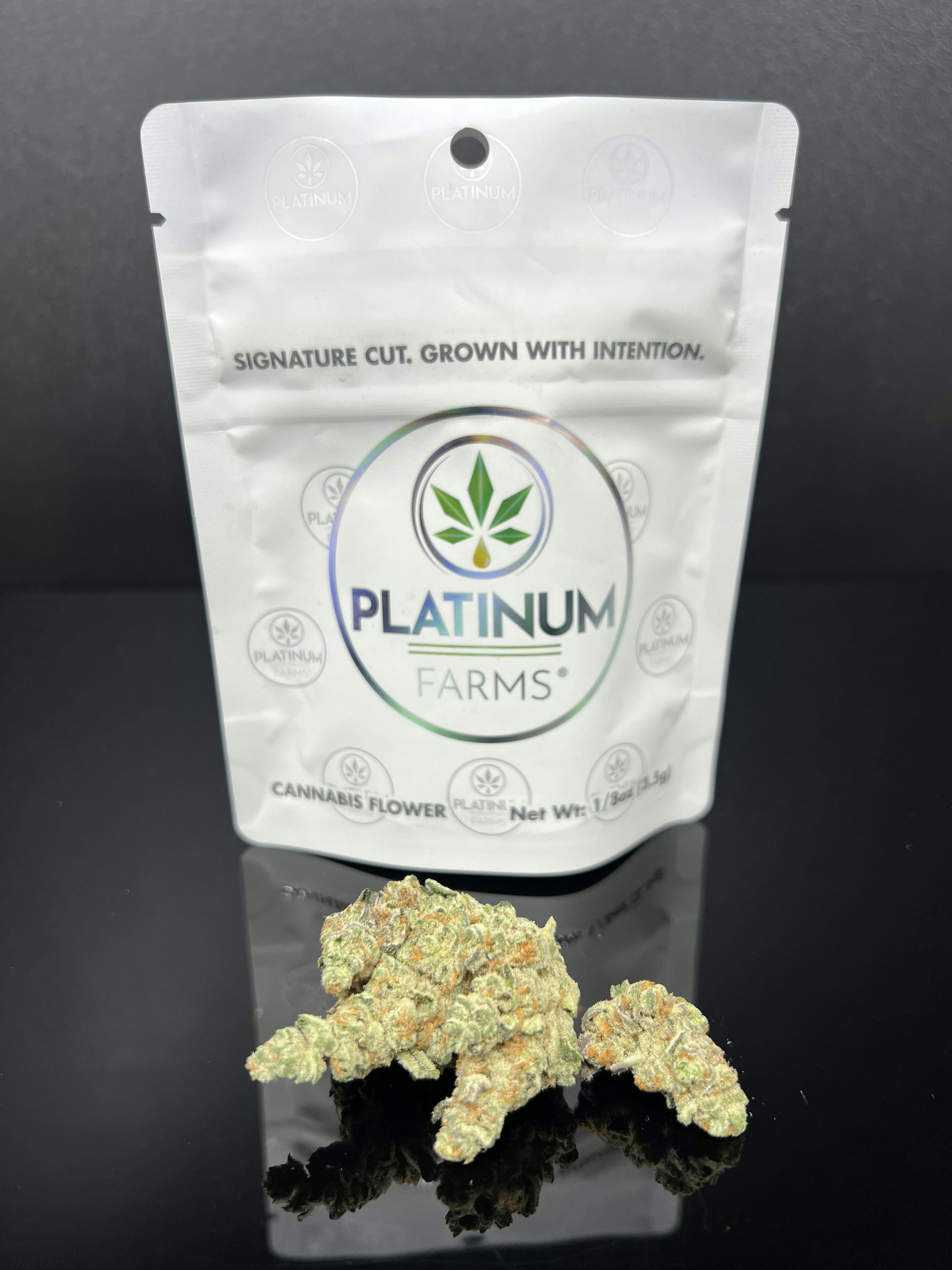 Flower - Kush Mintz (28.23%) - 3.5g (H) by Platinum Farms