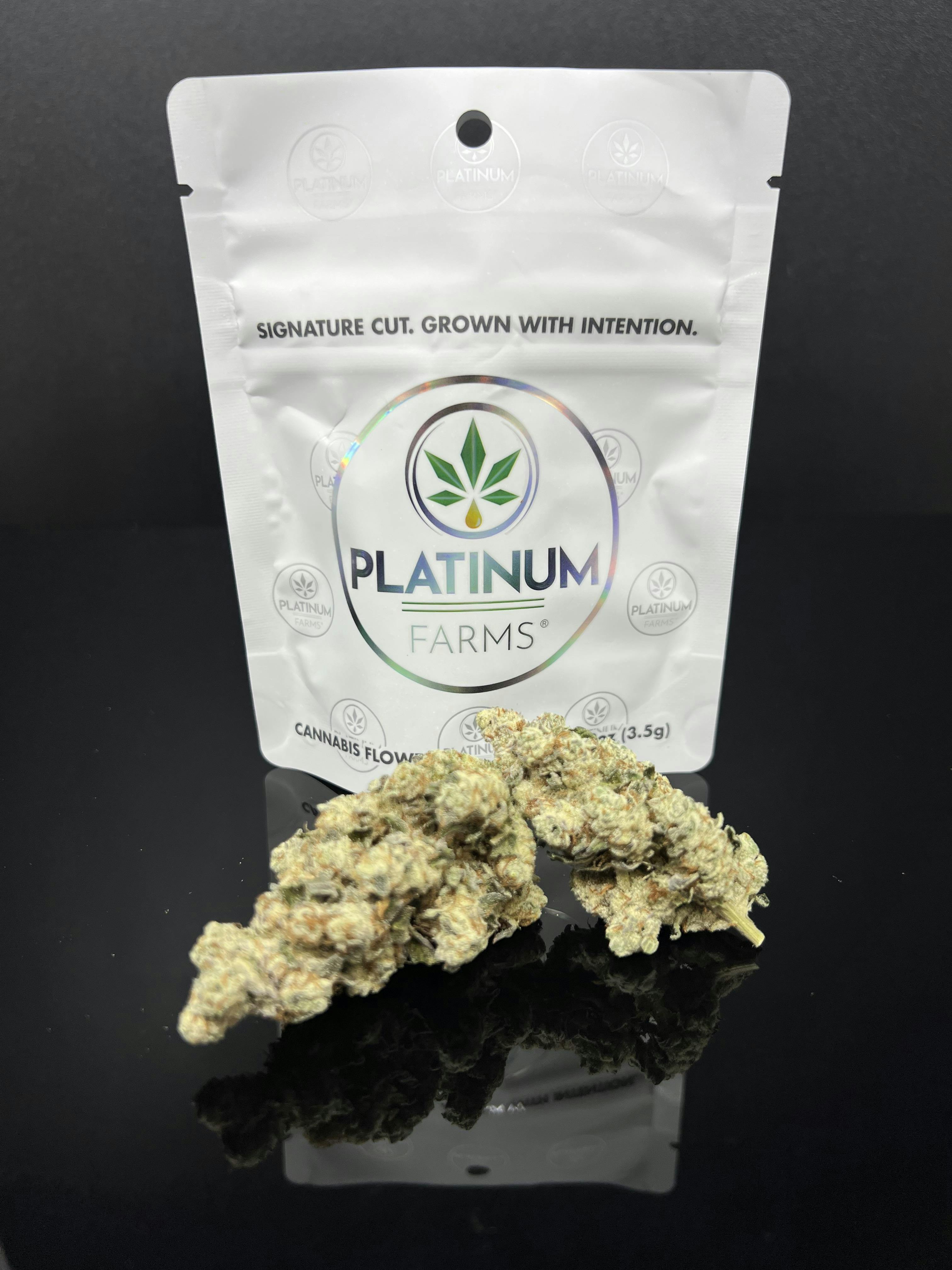 Flower - Gastronaut (25.69%) - 7g (I) by Platinum Farms