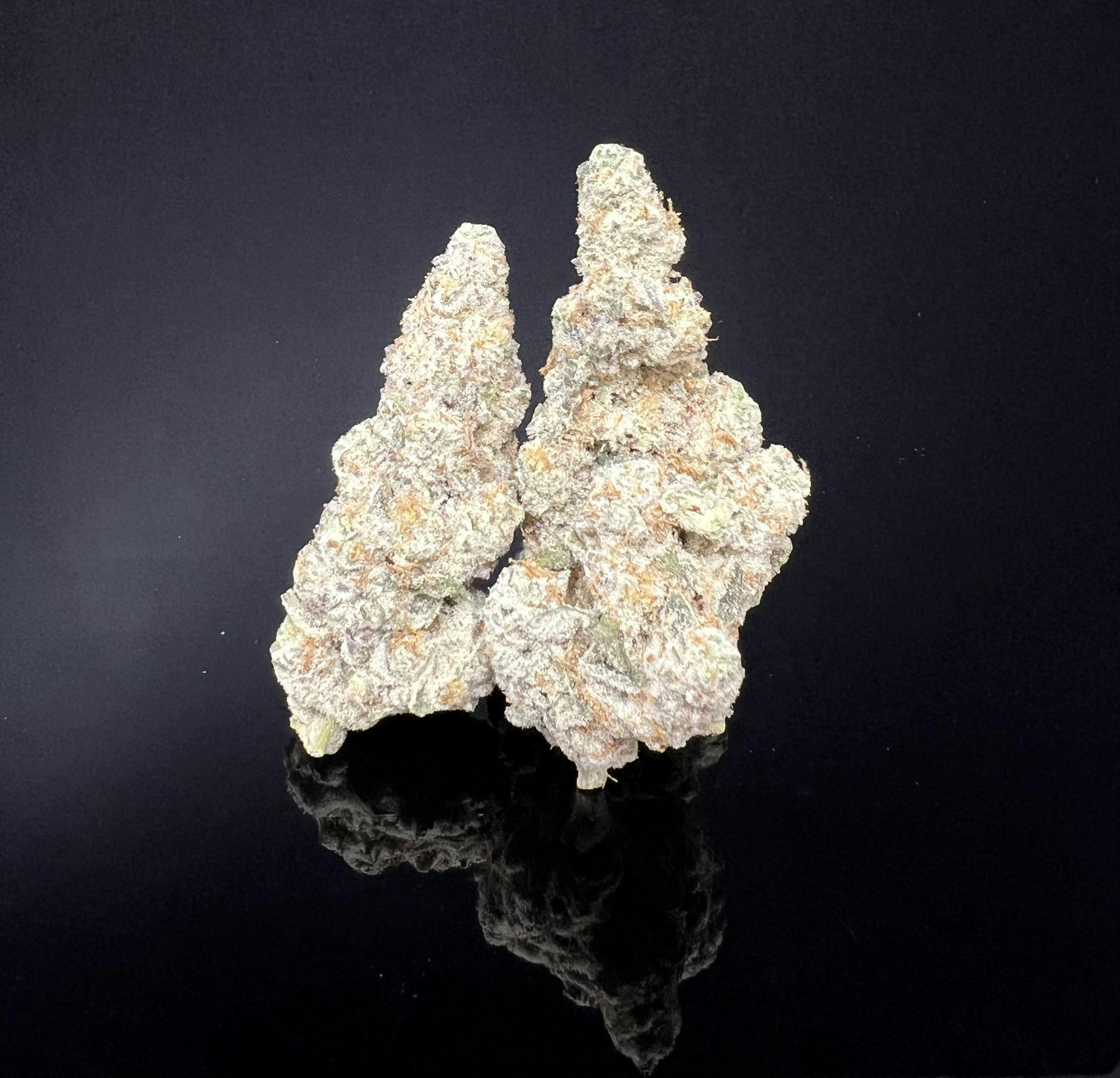 Flower - Cap Junky (30.87%) - 7g (H) by Platinum Farms
