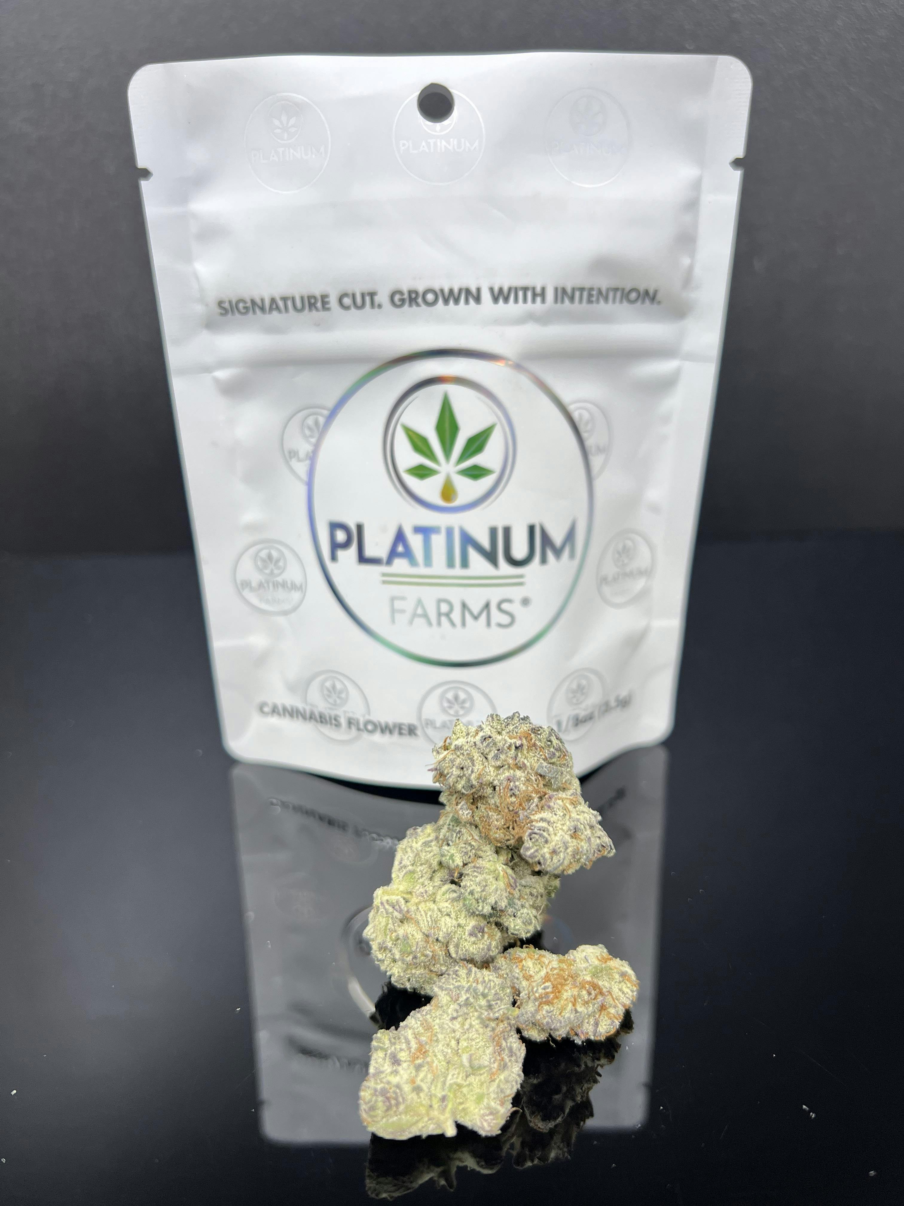 Flower - White Inferno (22.46%) - 7g (I) by Platinum Farms