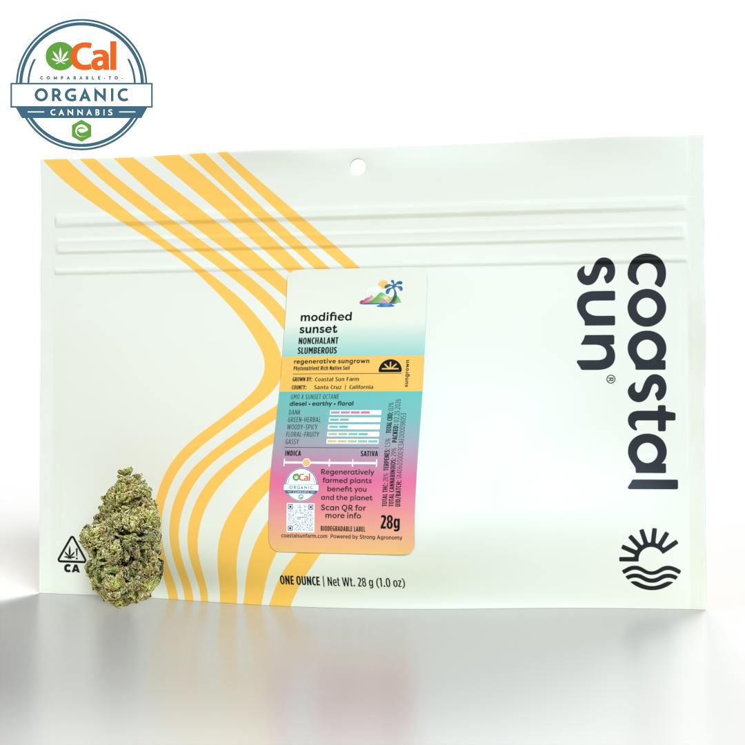 Modified Sunset Sungrown Flower