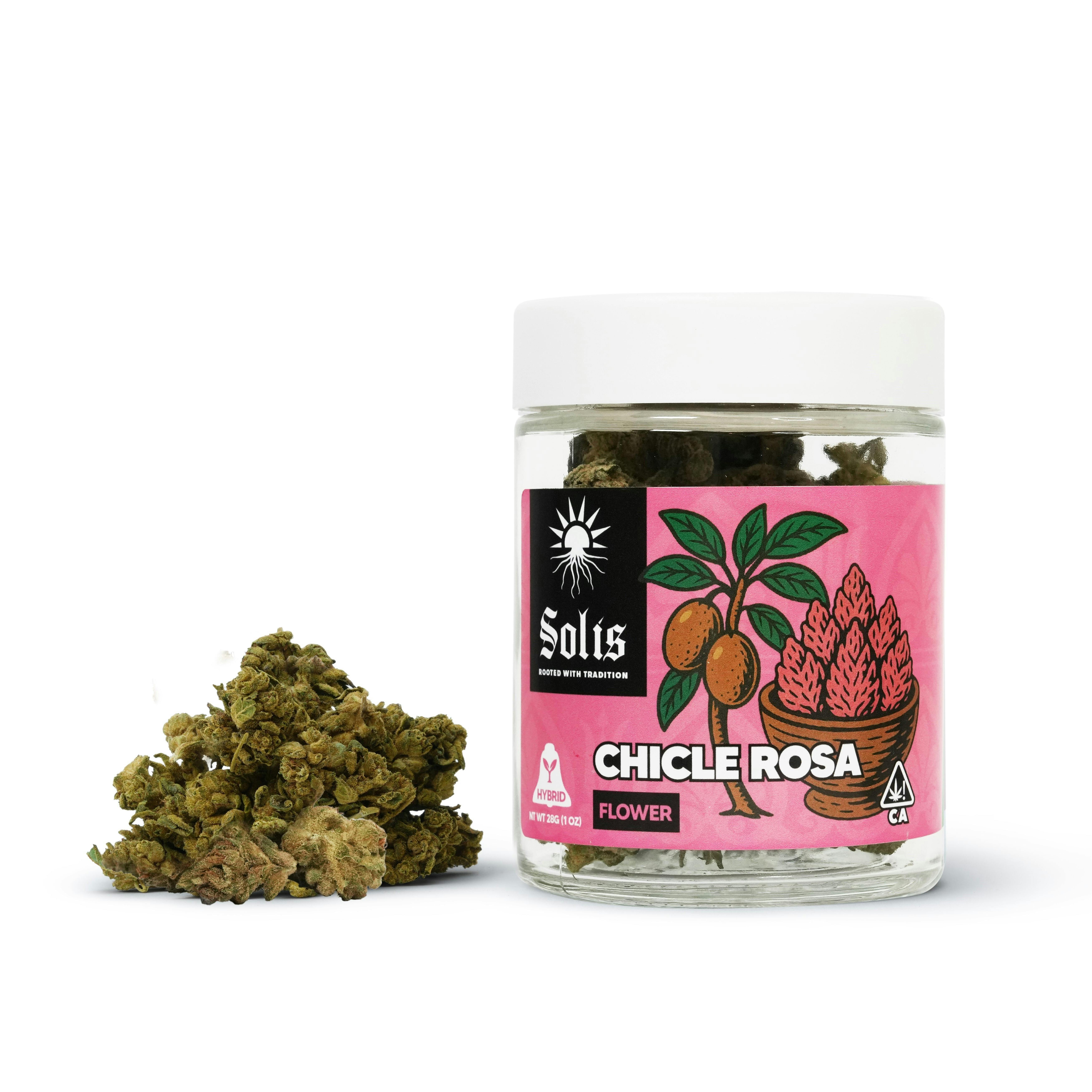 Chicle Rosa Jarred Flower Hybrid