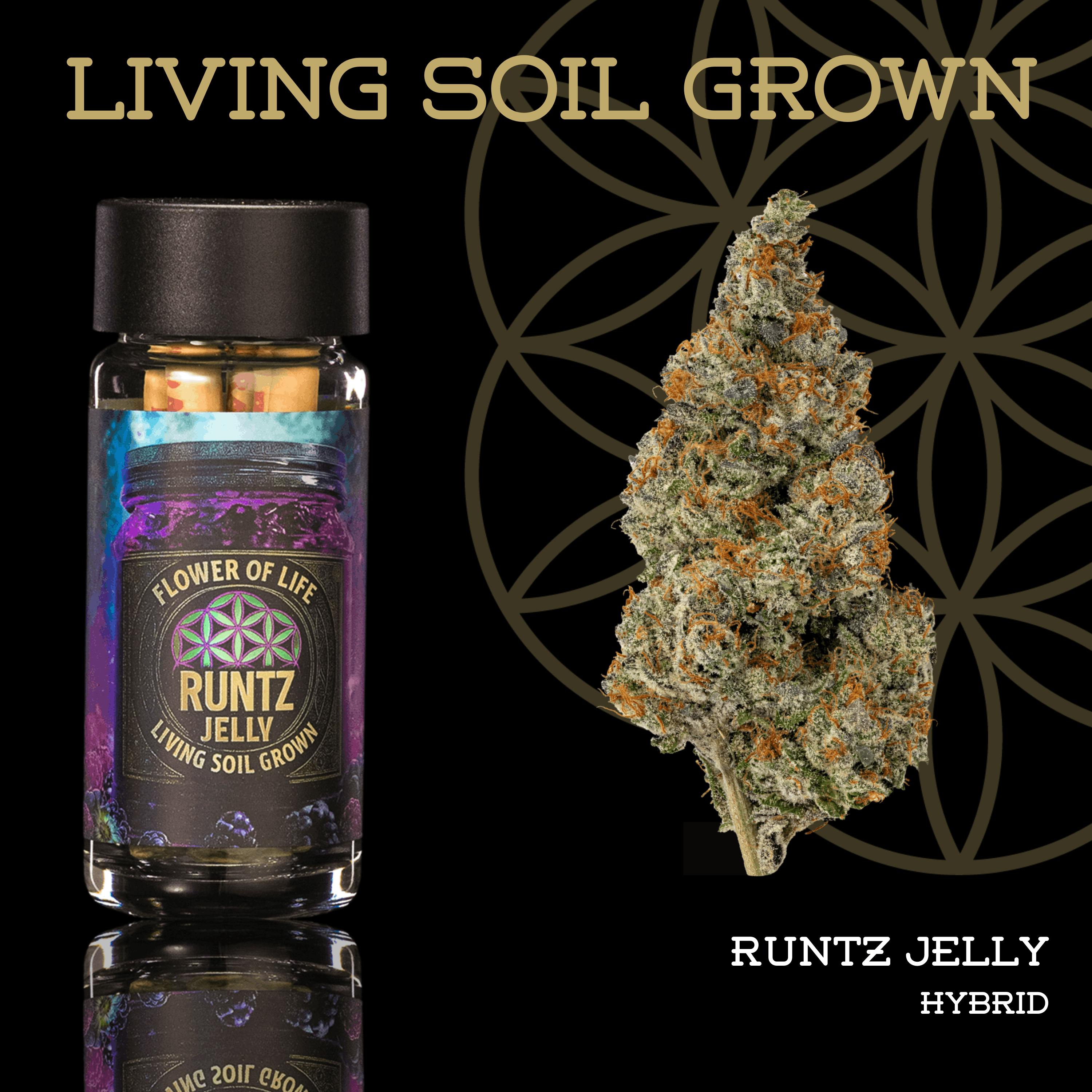 Runtz Jelly | Pre-Roll 5-Pack | 2.5g | Living Soil by Flower of Life