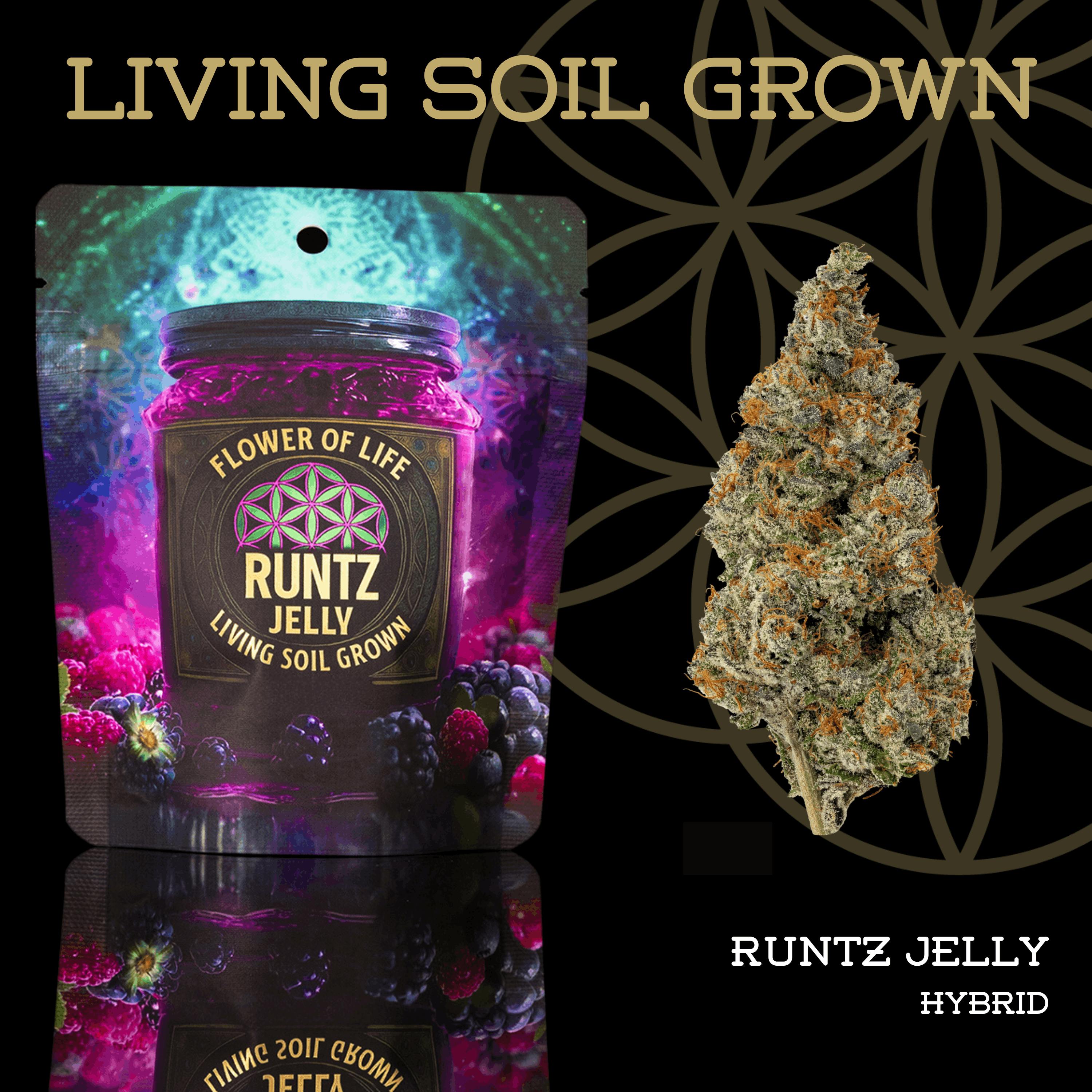 Runtz Jelly | Prepack | Mylar Bag | Living Soil