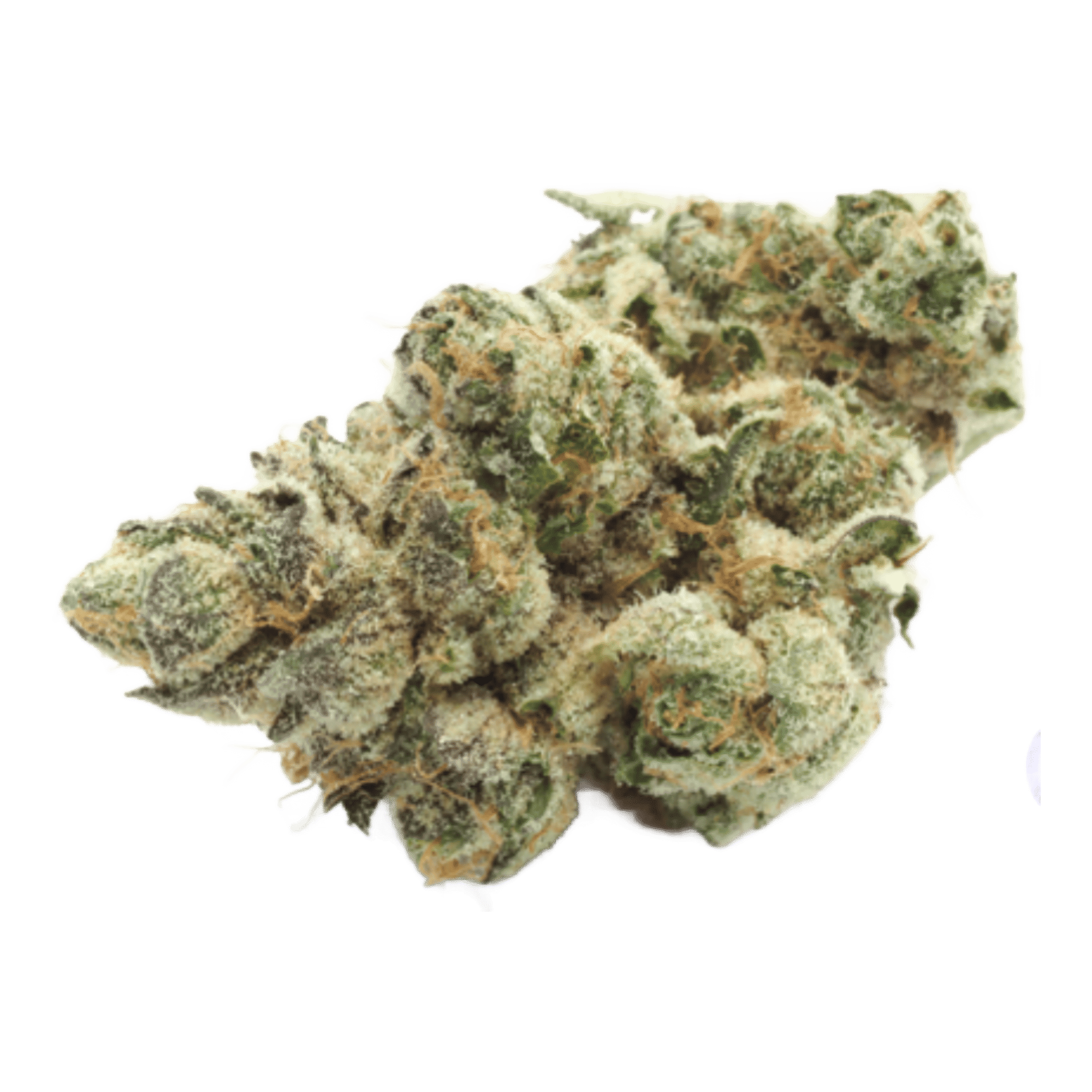 Half Ounce Zatomic
