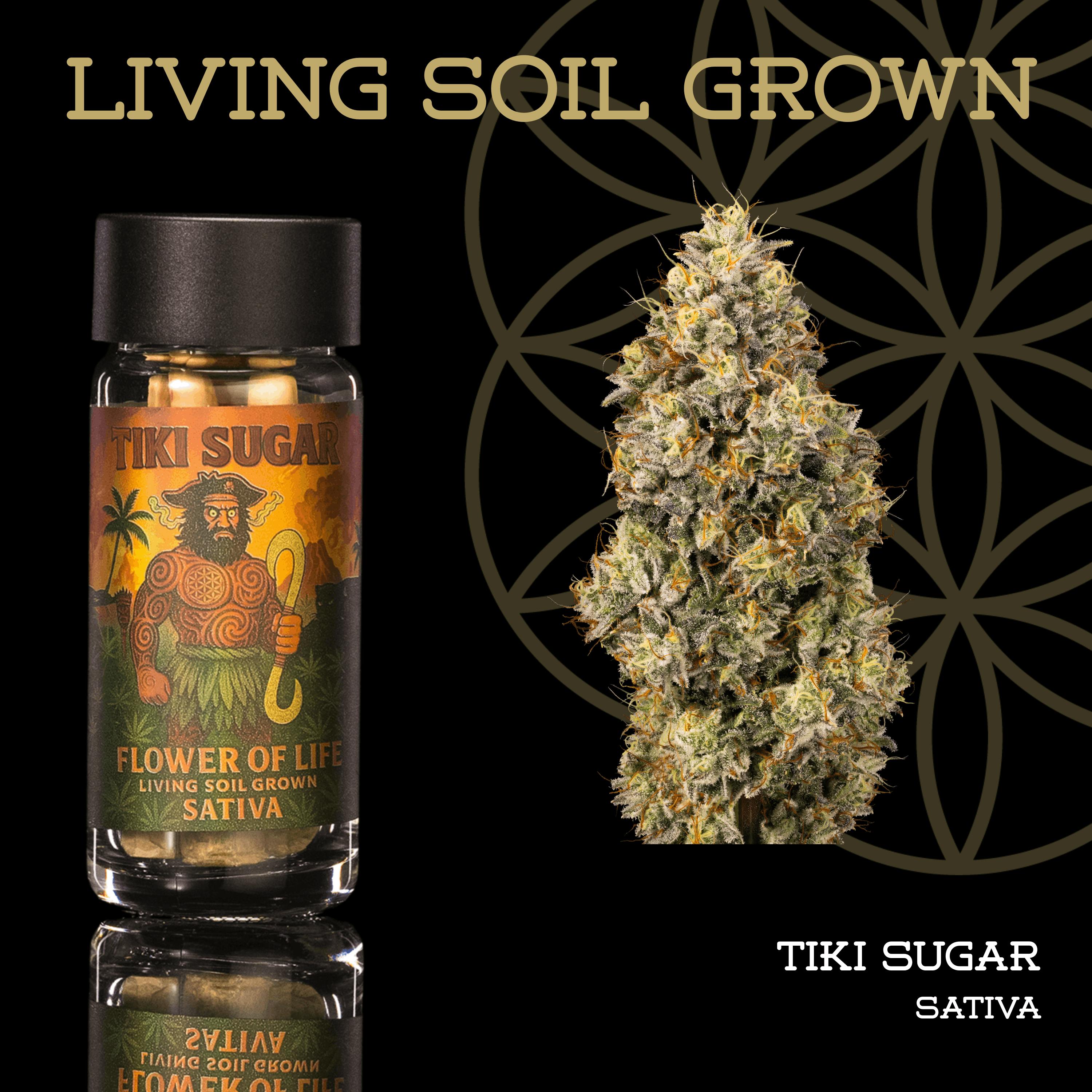 Tiki Sugar | Minis | 0.5g each | 5pk