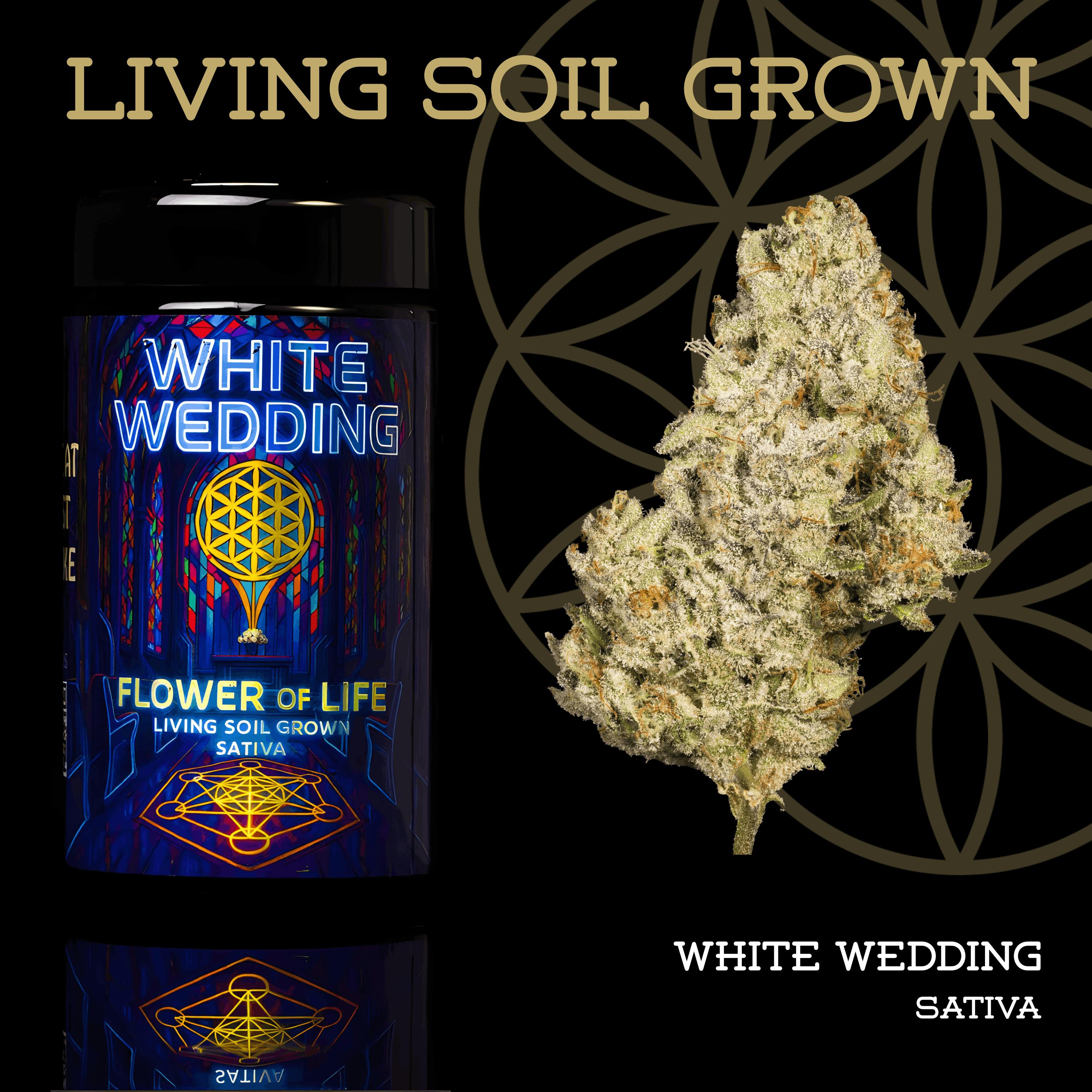 White Wedding | Prepack | Miron Jar | Living Soil by Flower of Life