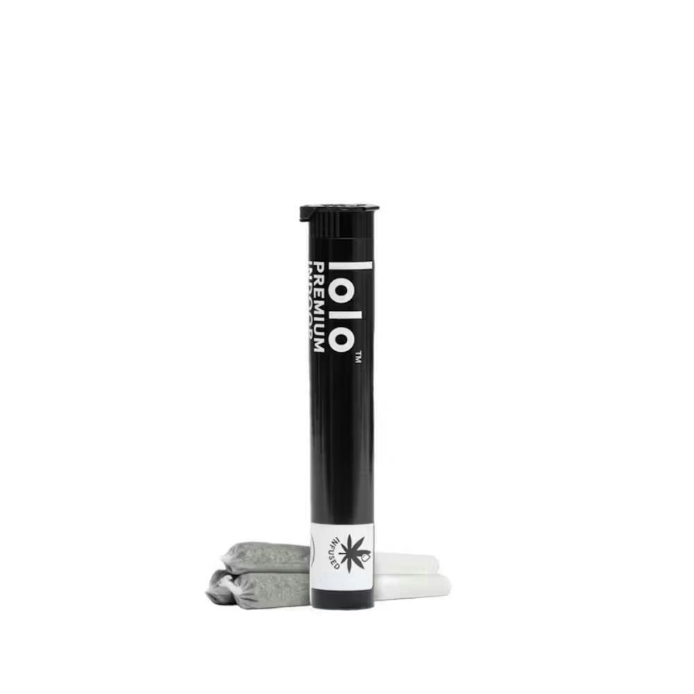 lolo — Shiva Skunk