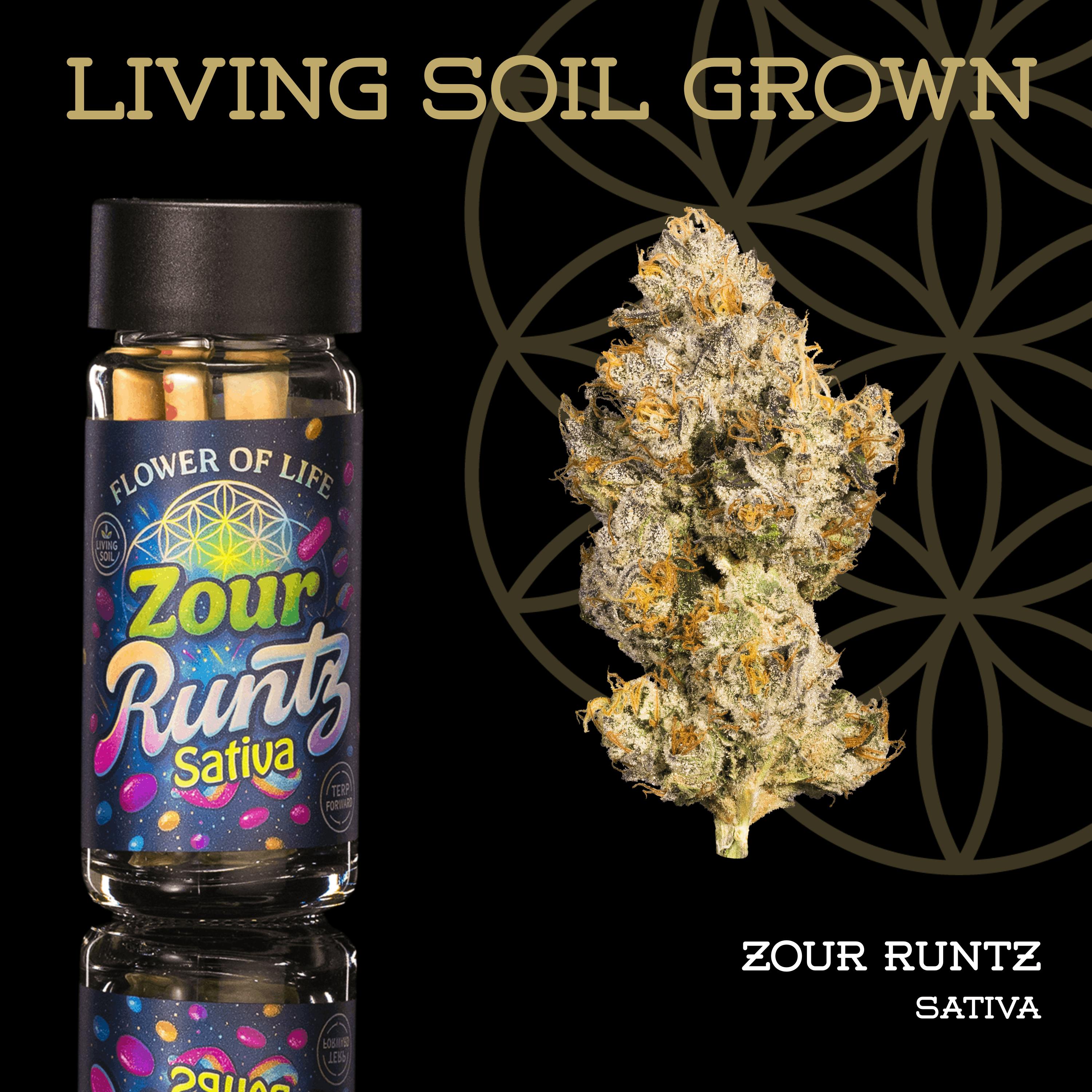 Zour Runtz | Pre-Roll 5-Pack | 2.5g | Living Soil by Flower of Life