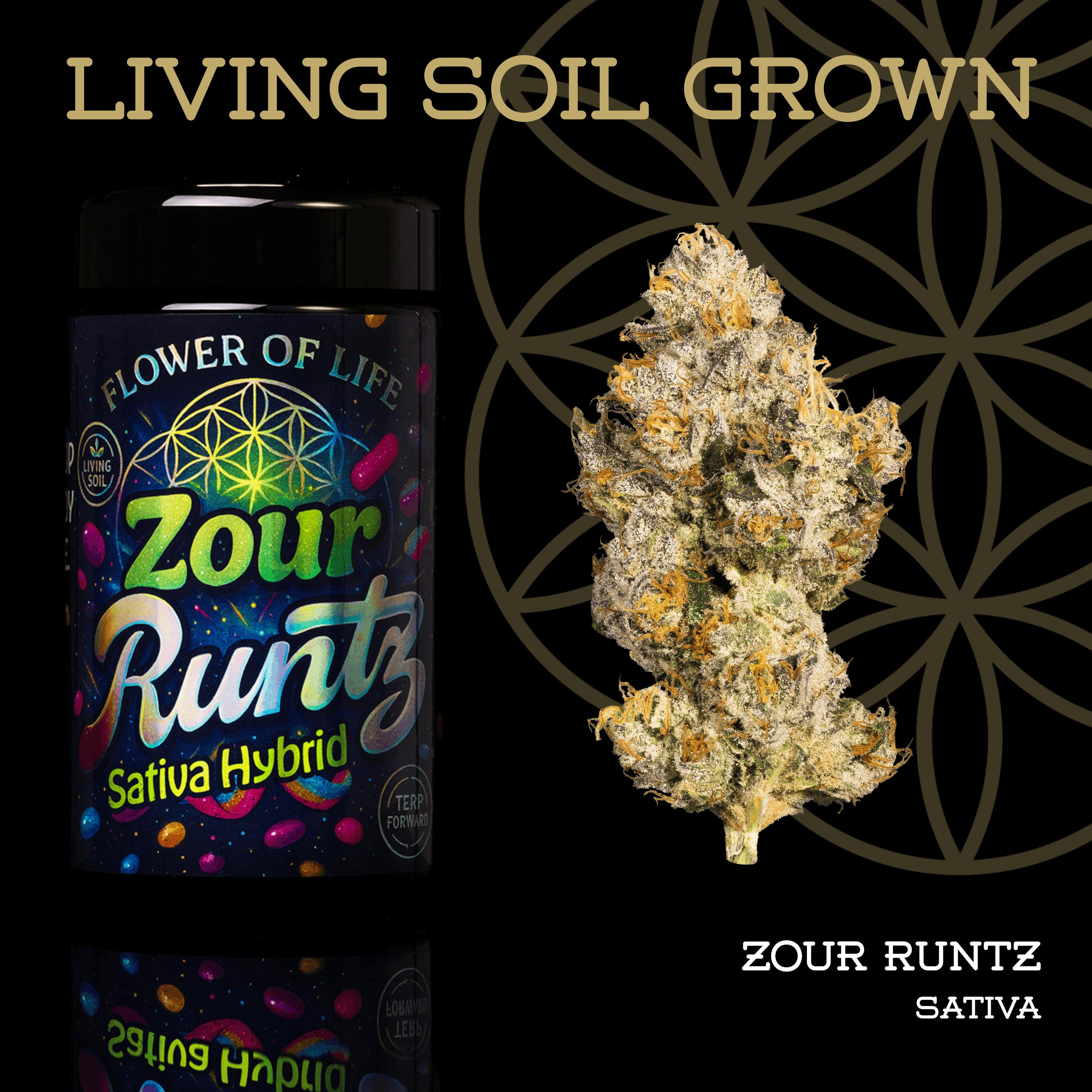 Zour Runtz | Buds | 3.5g by Flower of Life