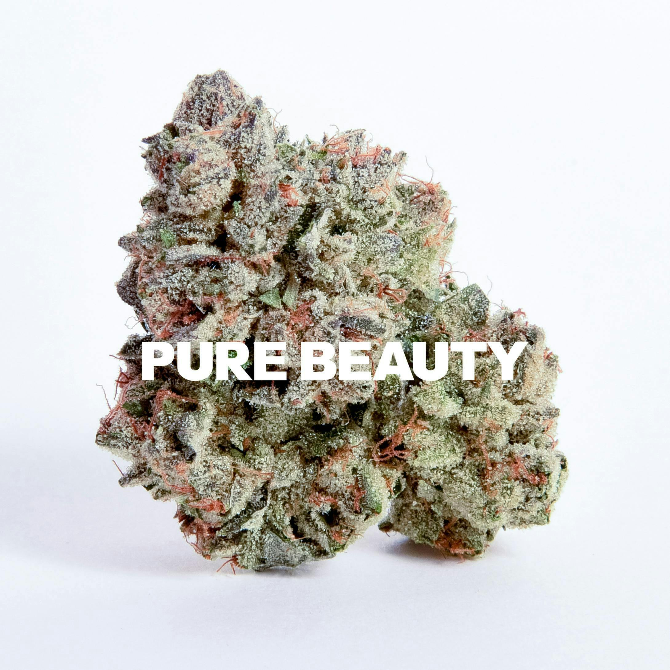 Pure Beauty — New Jack City