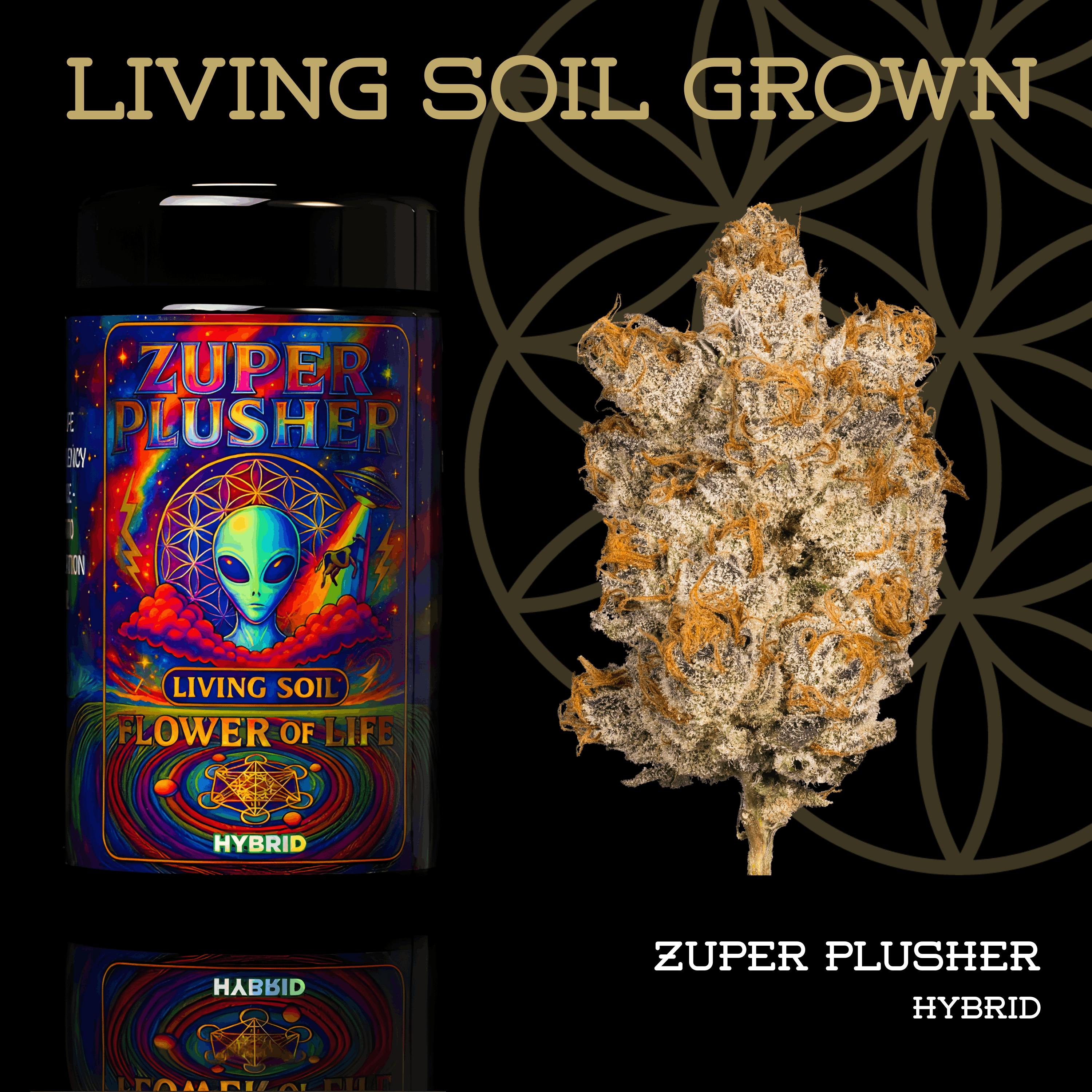 Zuper Plushers | Prepack | Miron Jar | Living Soil by Flower of Life