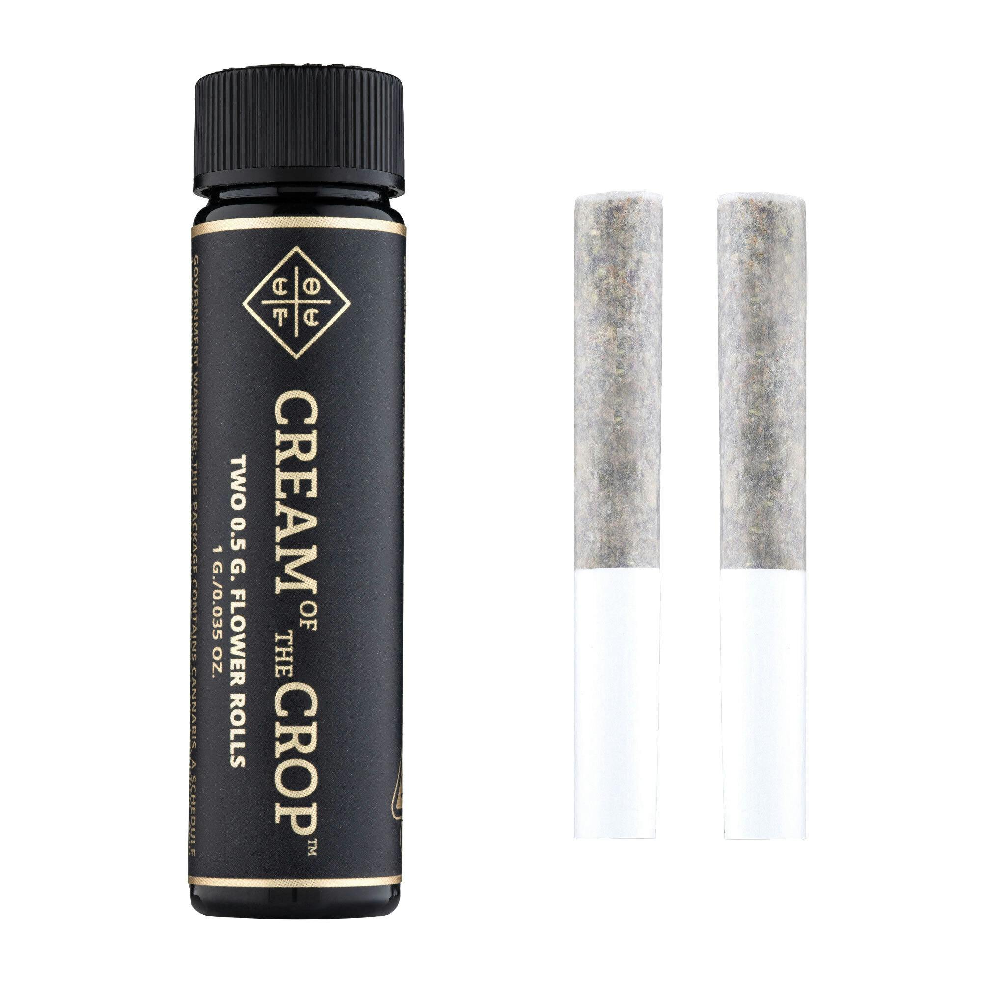 Grape Gasoline | Two Half Gram Premium Flower Prerolls | 1g