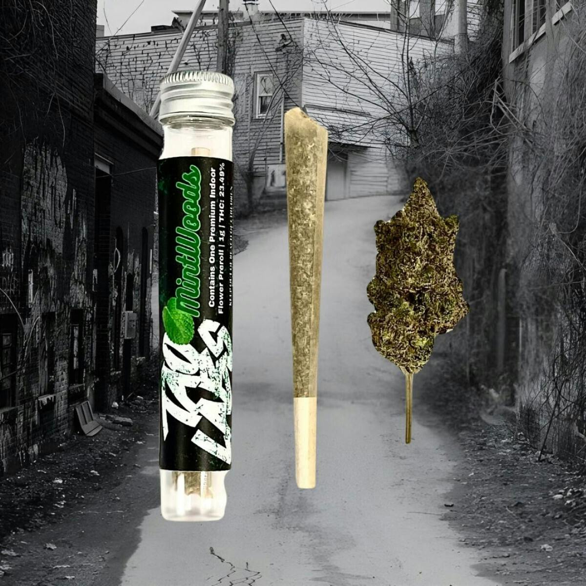 Mintwoods Indoor Single Preroll - 1g at Vermont Trap House