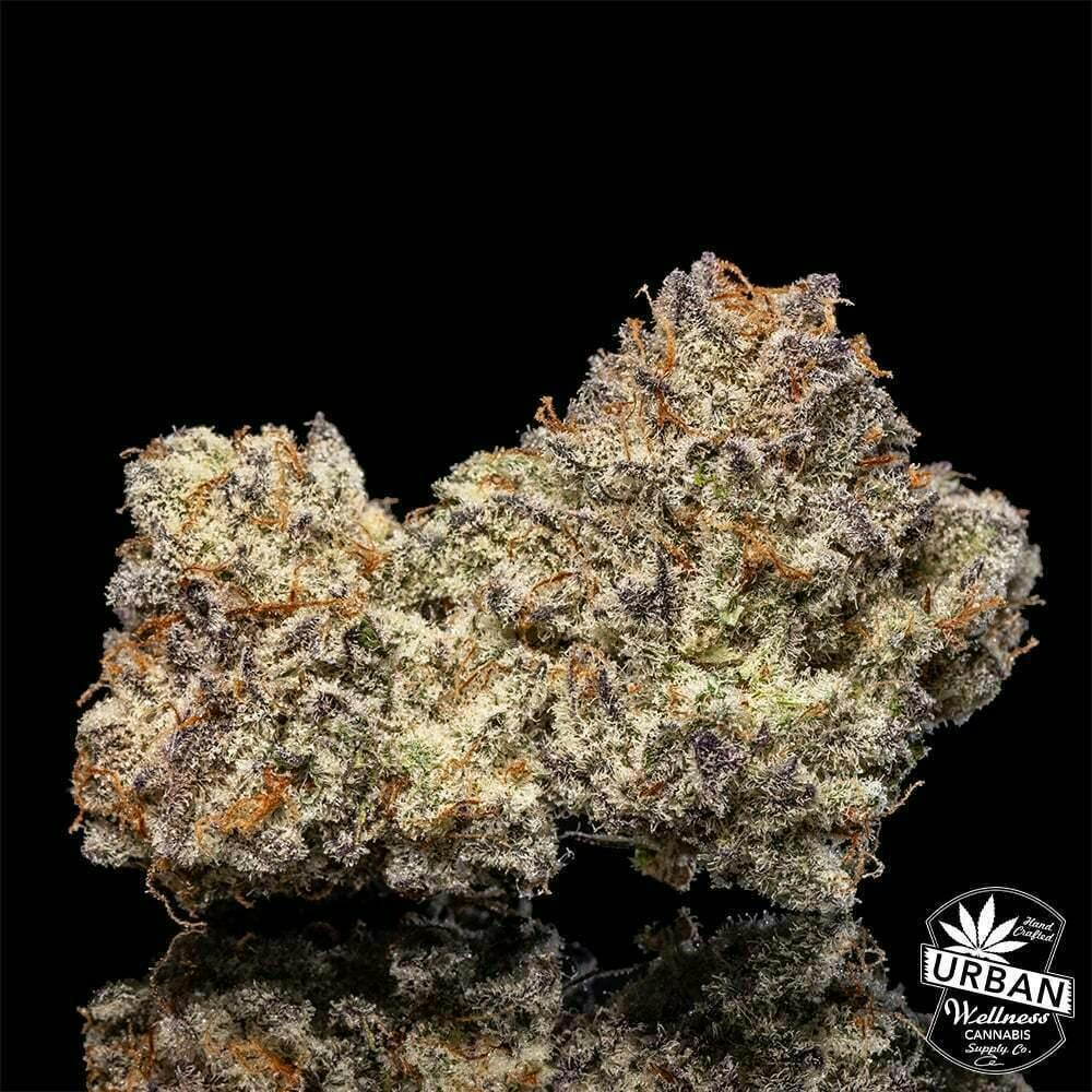 Urban Wellness | Hood Party | Flower | 1g by Urban Wellness