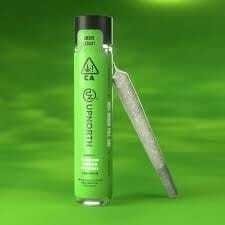 Blackberry Kush - 1g Pre-Roll