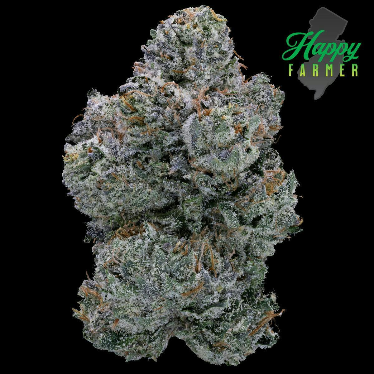 The Happy Farmer | Boston Runtz | Smalls | 7g - The Happy Farmer