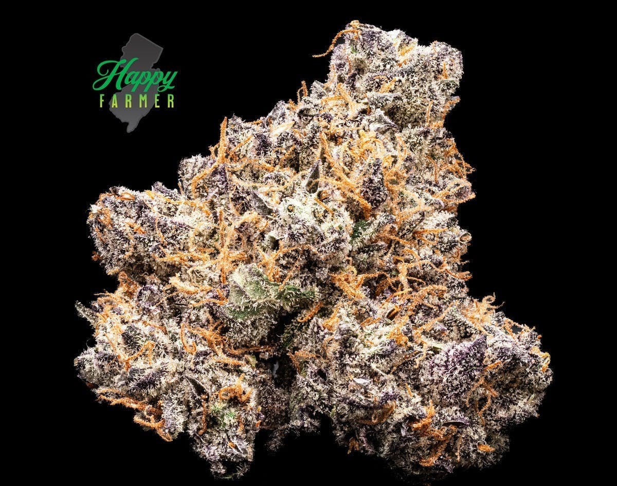 The Happy Farmer | Candied Garlic | Flower | 3.5g by The Happy Farmer