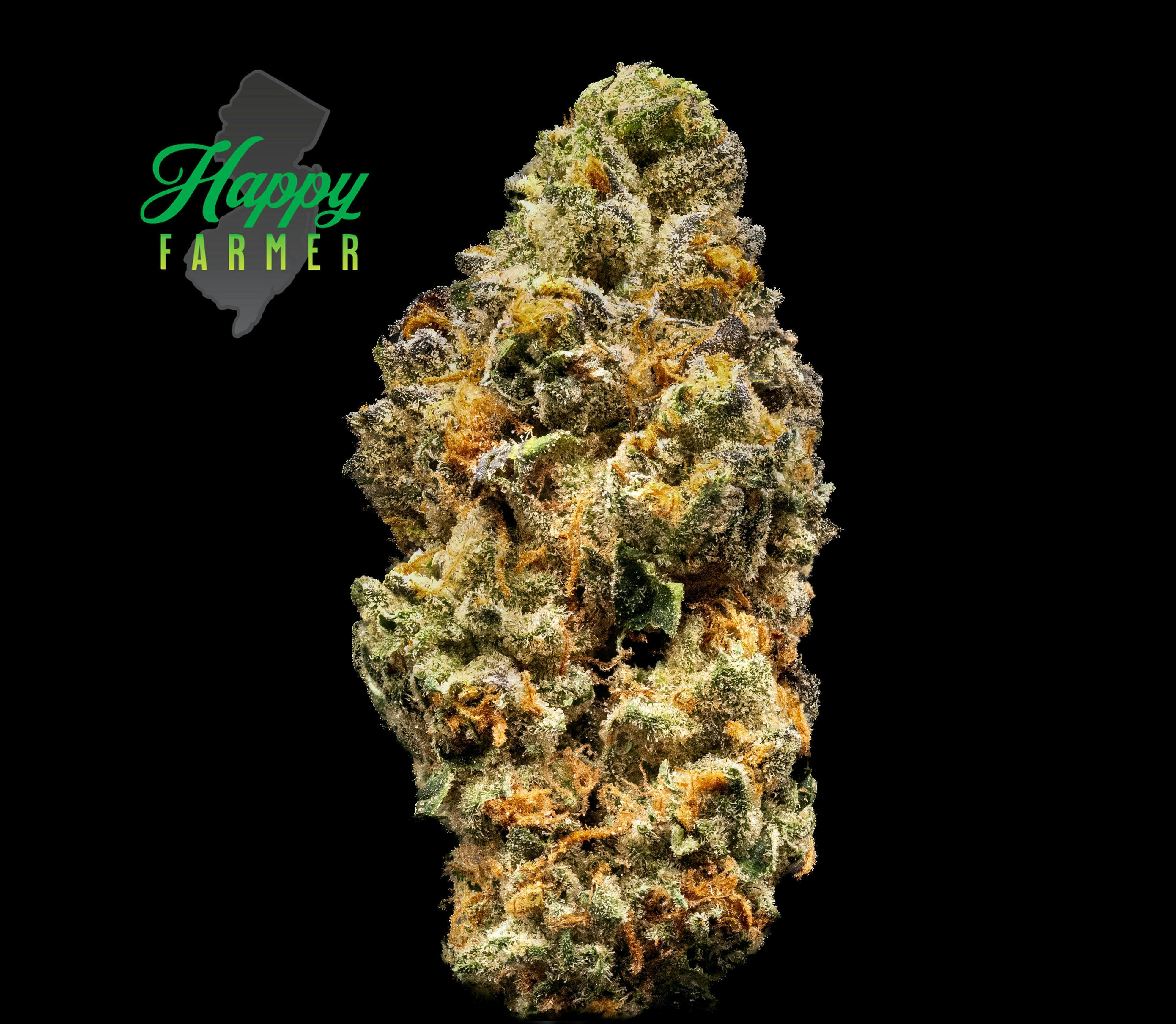 The Happy Farmer | Gunpowder Milkshake | Smalls | 7g by The Happy Farmer