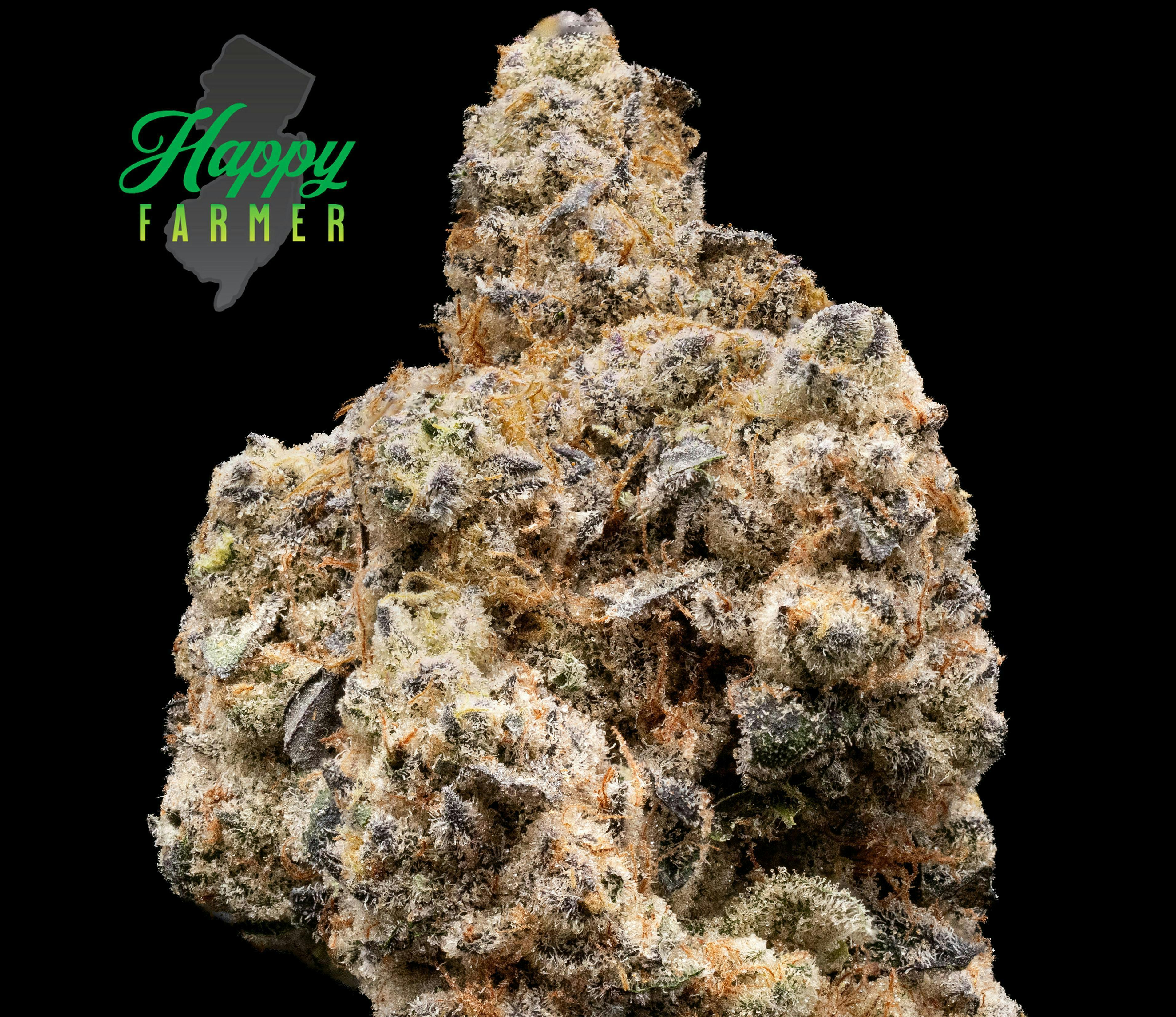 The Happy Farmer | Mac Stomper | Flower | 3.5g by The Happy Farmer