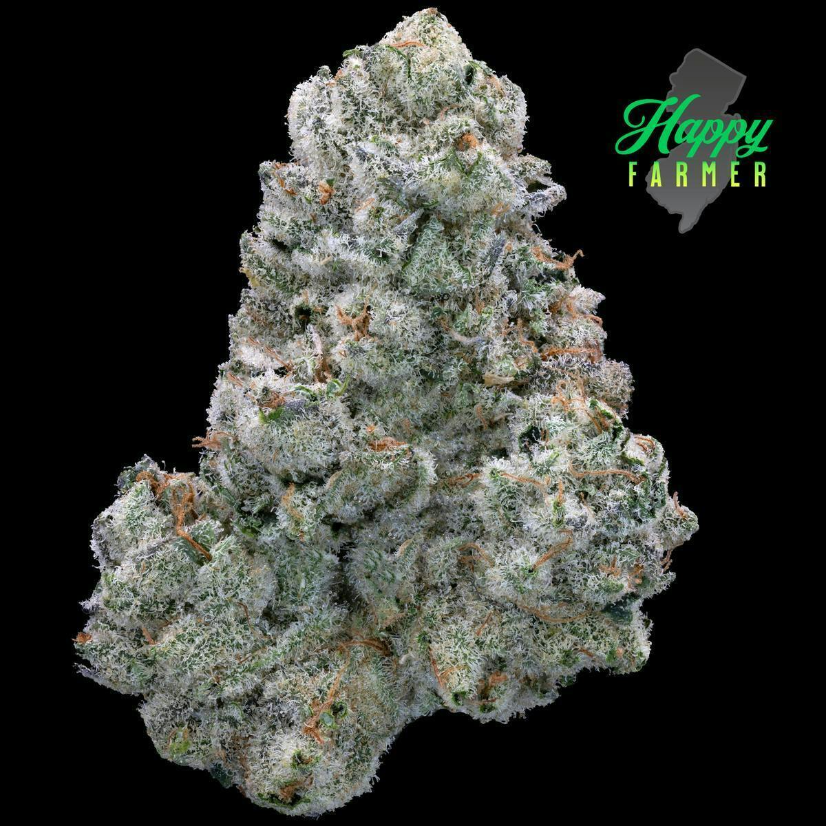 The Happy Farmer | On Point | Flower | 7g by The Happy Farmer