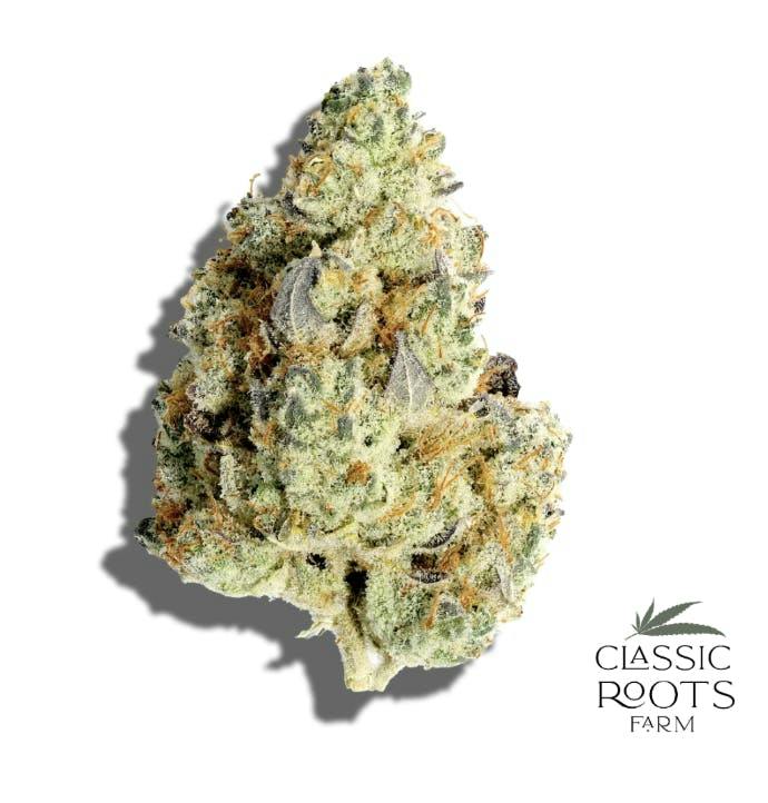 Classic Roots Farm | Zmartiez | Flower by Classic Roots Farm