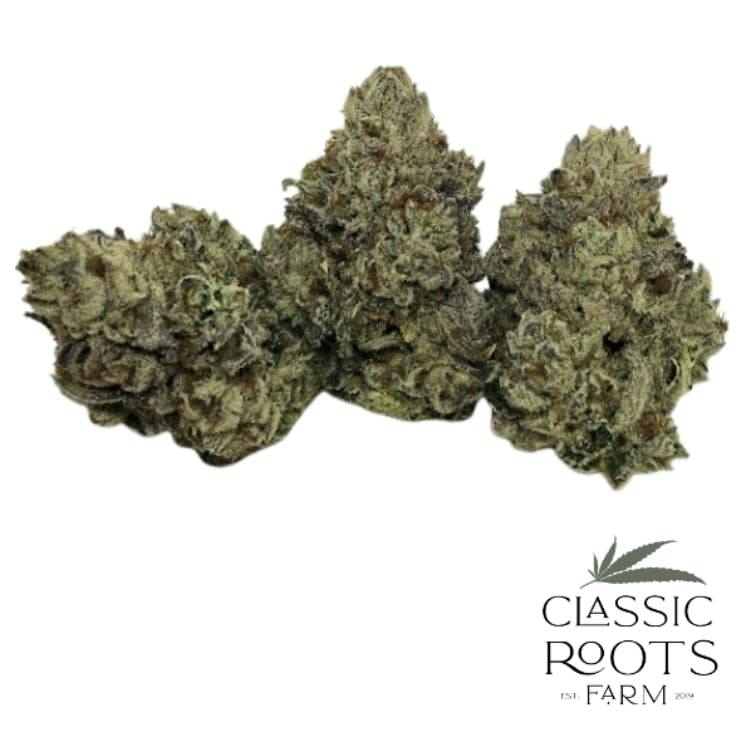 Classic Roots Farm | Blueberry Muffin | Flower | 28g by Classic Roots Farm