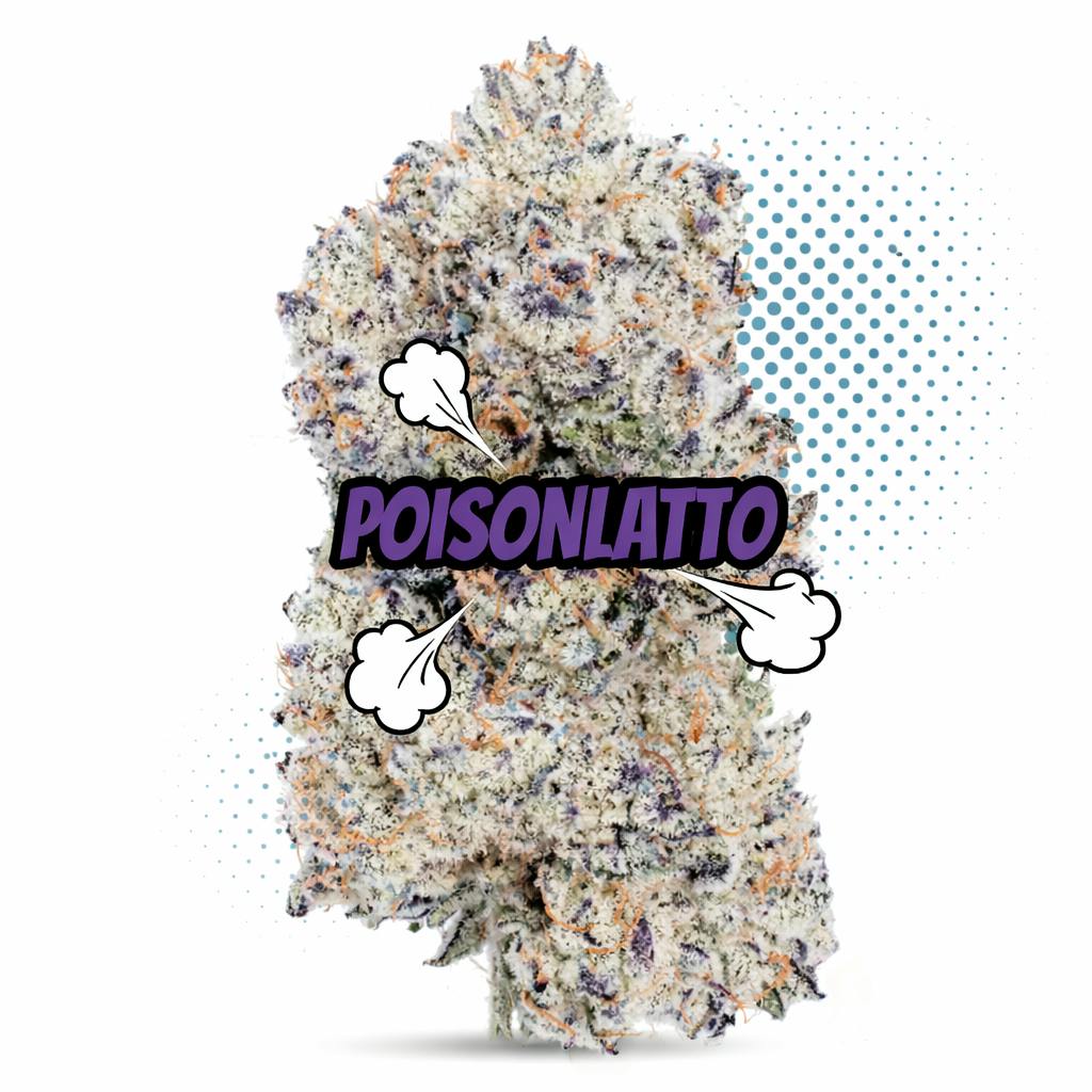 Frostiez — Poisonlattos Top Shelf