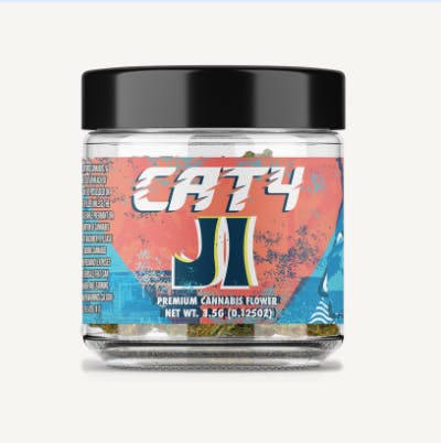 Cat4 J1 🏄‍♂️