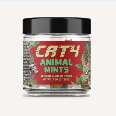 Cat4 Animal Mints 🦓