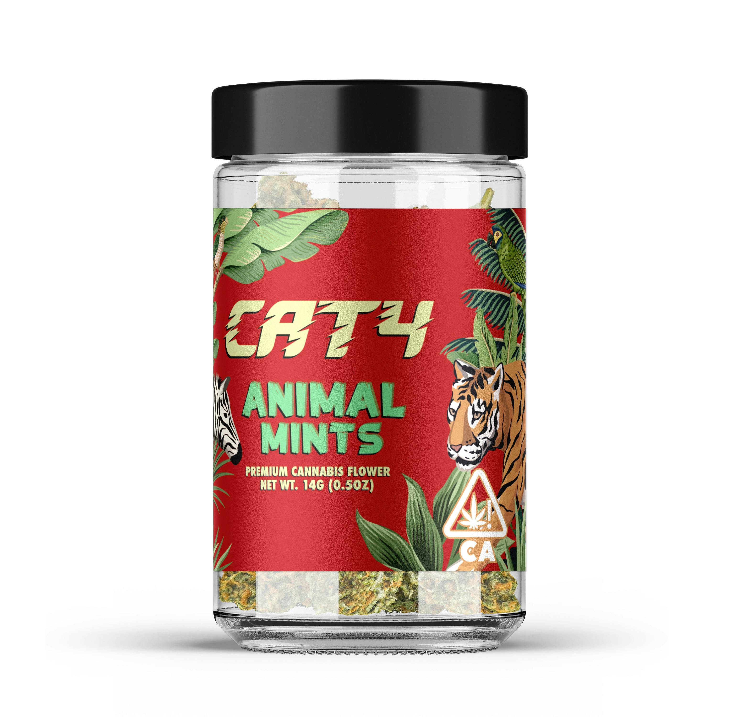 CATALYST — Animal Mints