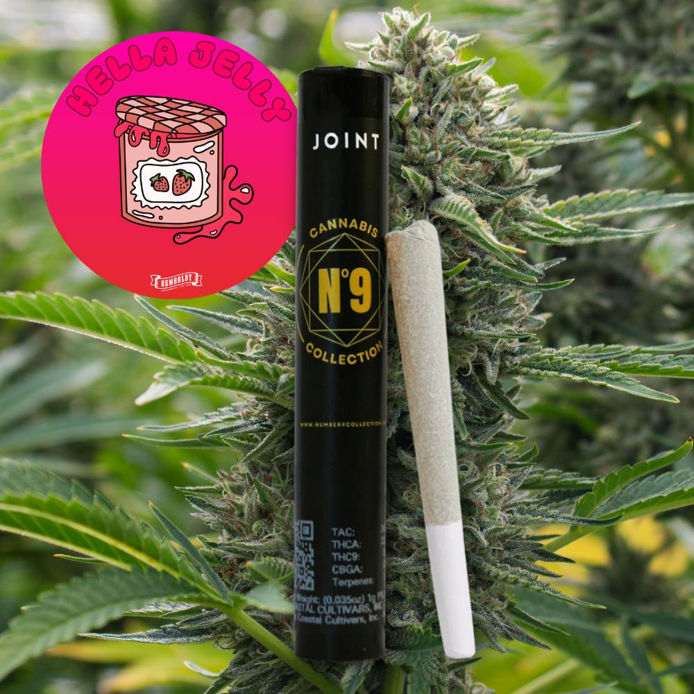 Hella Jelly | Joint | 1g at Elevated Roots Dispensary Abington