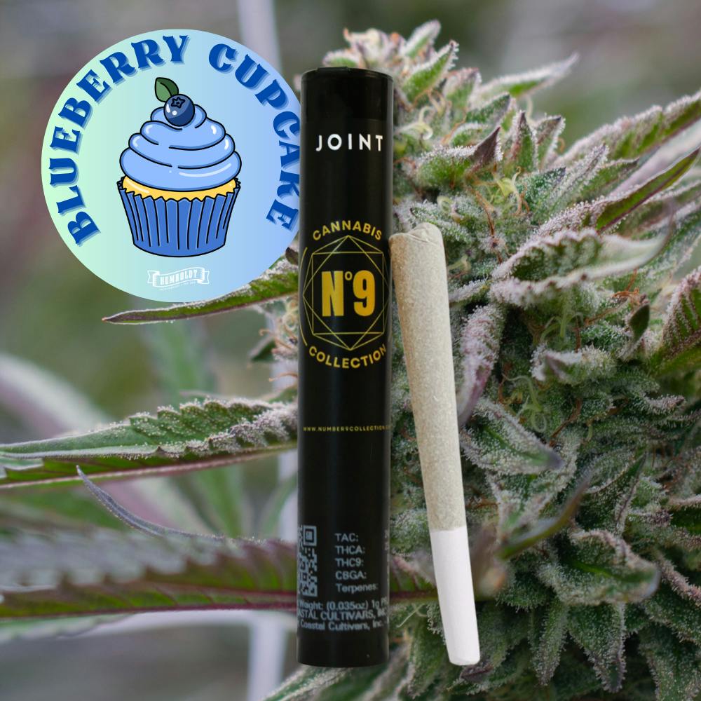 Blueberry Cupcake | Joint | 1g at Webster Lake Cannabis
