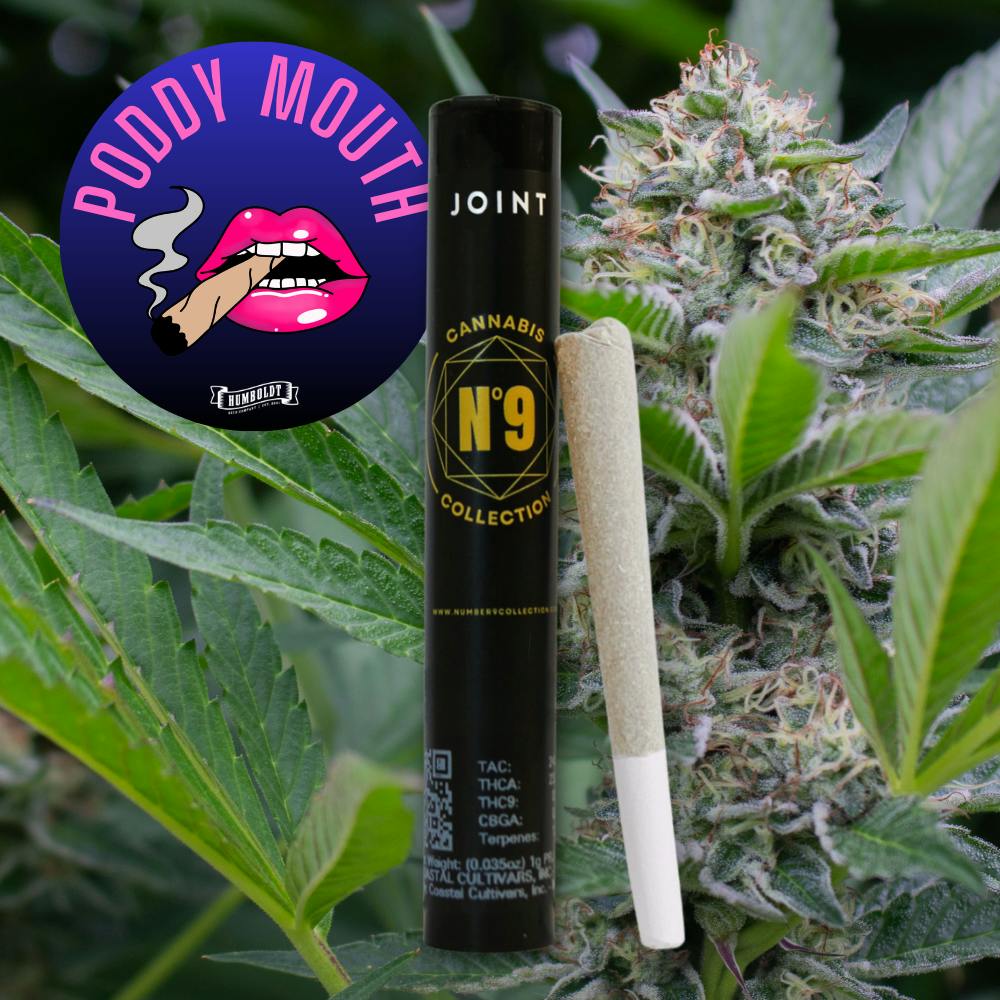 Poddy Mouth | Joint | 1g at Comm Ave Canna: Recreational Cannabis Dispensary, Boston - Brookline MA