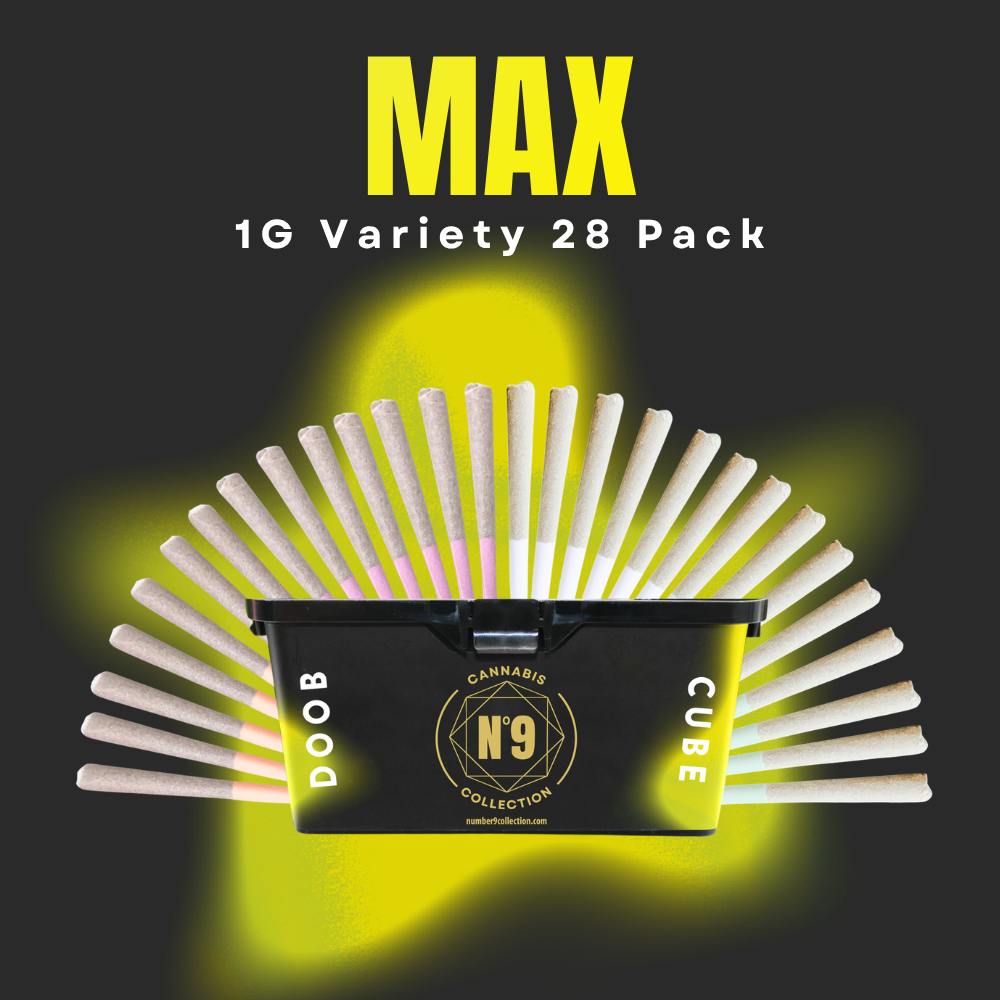 Doob Cube Max Variety Pack | Joints | 1g each | 28pk by No. 9
