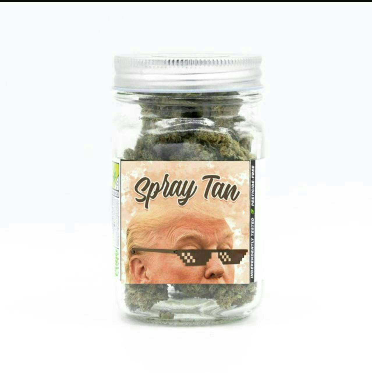 Platinum | Spray Tan | Big Buds | 3.5g